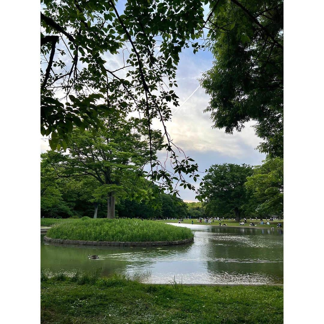 伊藤友季子さんのインスタグラム写真 - (伊藤友季子Instagram)「🦆🌳☕️ ⁡ ピクニックシートの上で 寝ころがって新緑を眺めながら インとアウトカメラ同時に撮れるアプリを 試して一人遊び🤳🍃 ⁡ マティス展で見つけたトートバッグは 表と裏が違うデザインでお気に入り❤️ ⁡ 念願 @sunday_bake_shop  のキャロットケーキも食べられて🥕 （スパイスが効いていて甘いクリームチーズとよく合っていて美味しかった🧁チーズケーキとバナナパウンドケーキもリピートしたい） ⁡ 今年は連休はなかったけど 豊かな気持ちになれた 良いゴールデンデーでした☺️👒 ⁡ ⁡ #公園 #マティス展 #マティス展グッズ #サンデーベイクショップ」5月9日 22時27分 - yukiko_xx