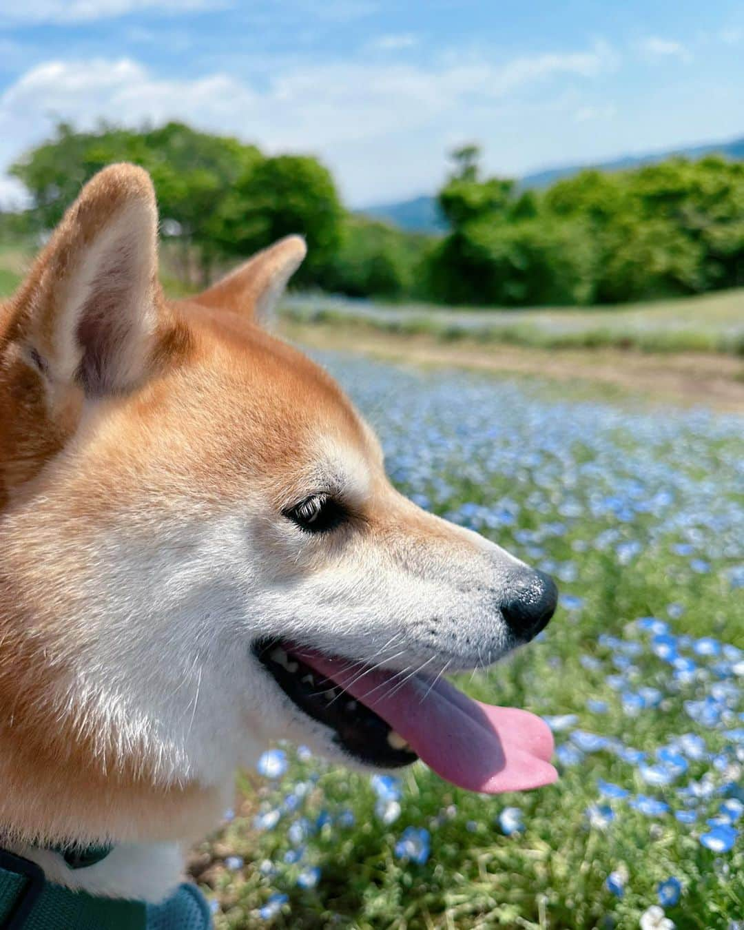 大山加奈のインスタグラム