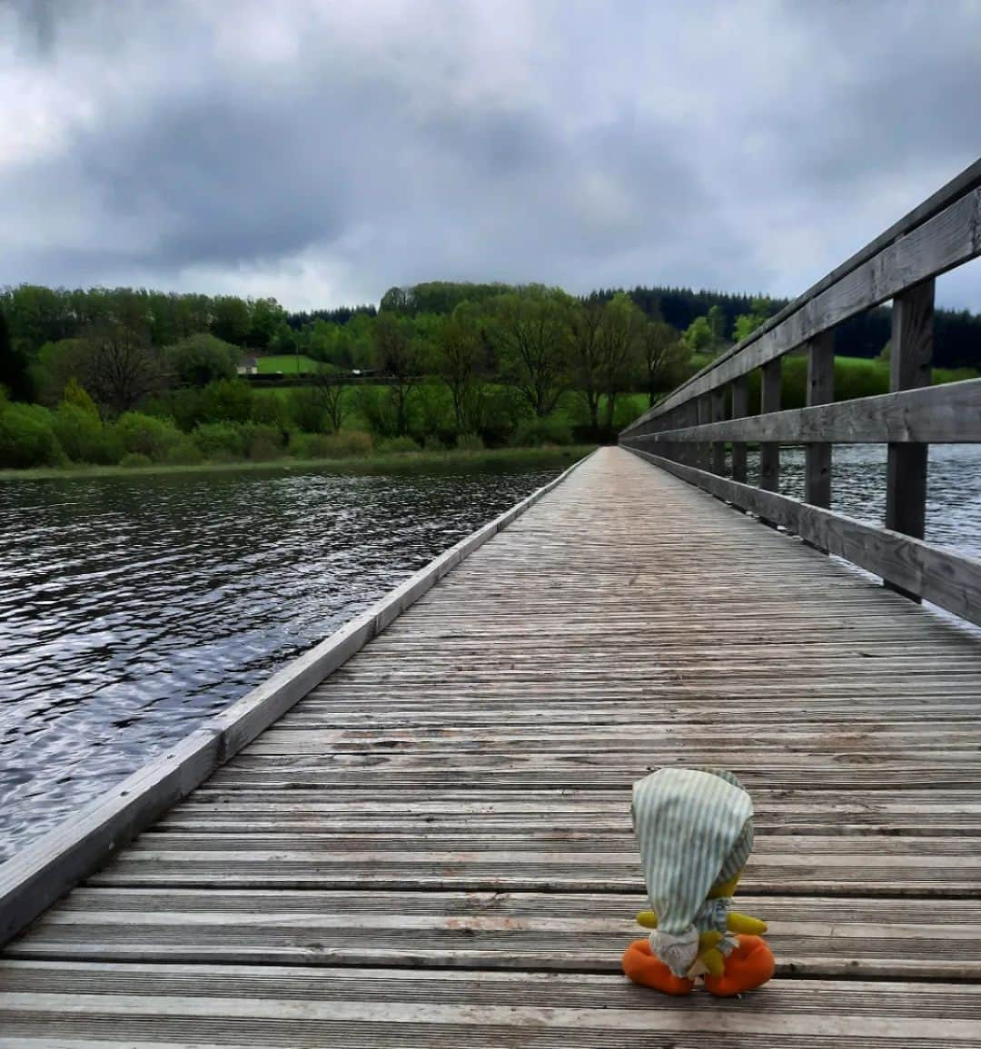 Little Yellow Birdさんのインスタグラム写真 - (Little Yellow BirdInstagram)「Even with not so perfect weather, the Morvan is still gorgeous! #littleyellowbird #tweety #tweetykweelapis #adventures #yellow #bird #holidays #vakantie #morvan #france #frankrijk #lacdesaintagnan #saintagnan #lac #walking #hiking #clouds #stuffedanimalsofinstagram #plushiesofinstagram」5月9日 22時42分 - tweetykweelapis