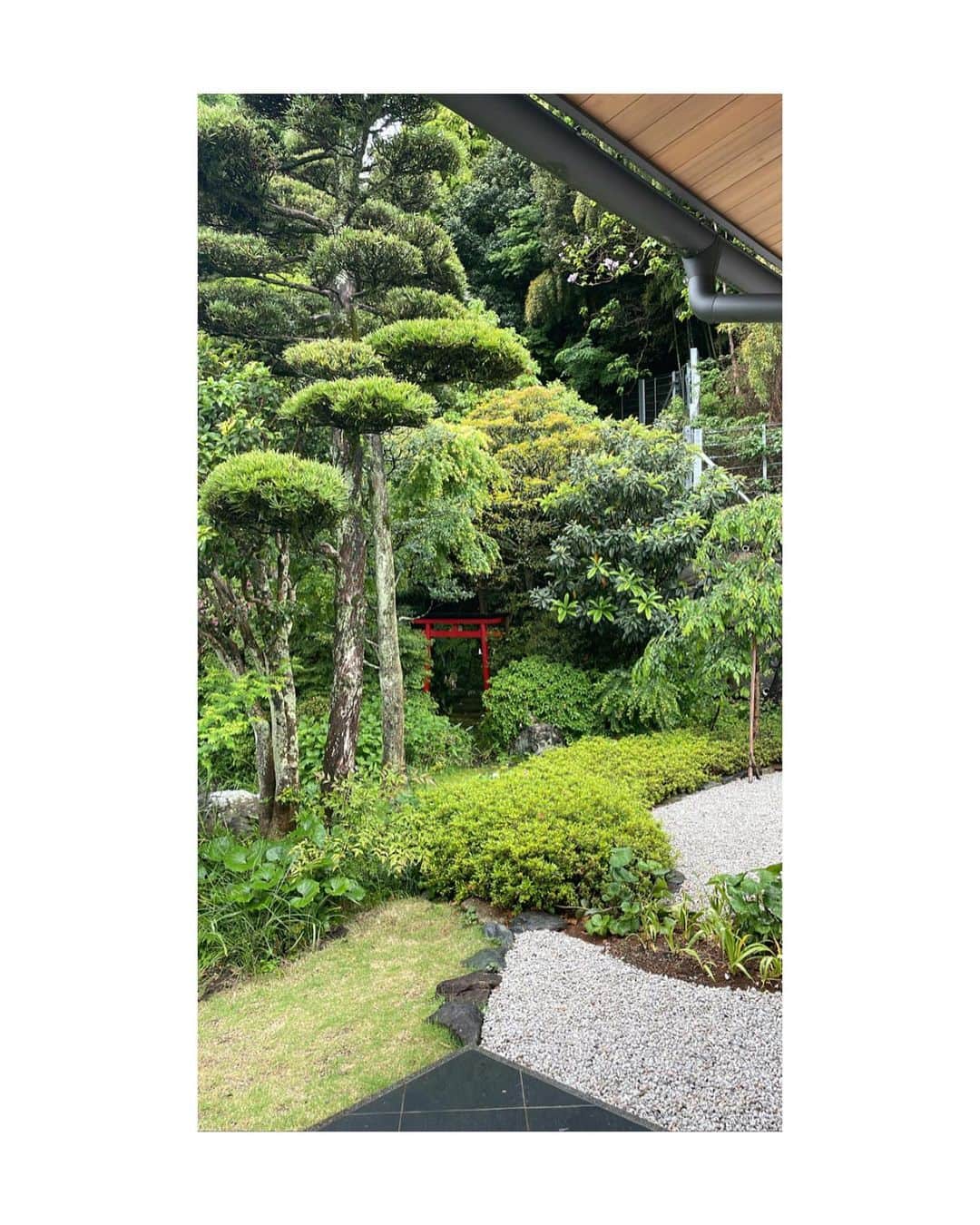 武井咲さんのインスタグラム写真 - (武井咲Instagram)「いつか、雨だった静岡 🌧️ しとしと、いや、ざざぶりでしたが。  そんな風情も綺麗だった  今度はお散歩しよう」5月9日 22時43分 - emitakei_official