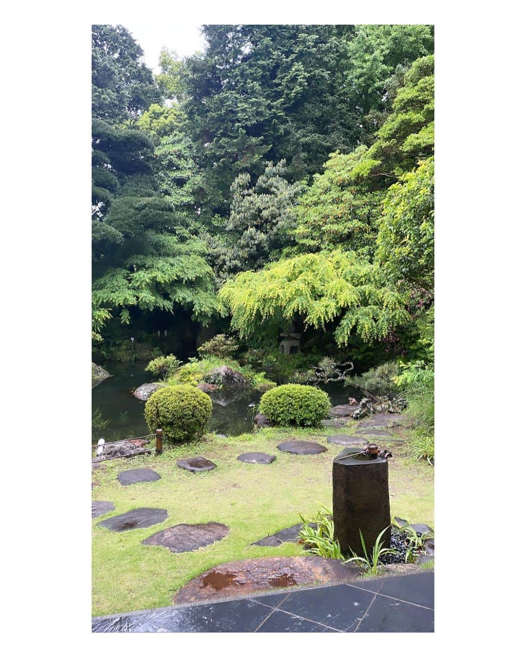 武井咲さんのインスタグラム写真 - (武井咲Instagram)「いつか、雨だった静岡 🌧️ しとしと、いや、ざざぶりでしたが。  そんな風情も綺麗だった  今度はお散歩しよう」5月9日 22時43分 - emitakei_official