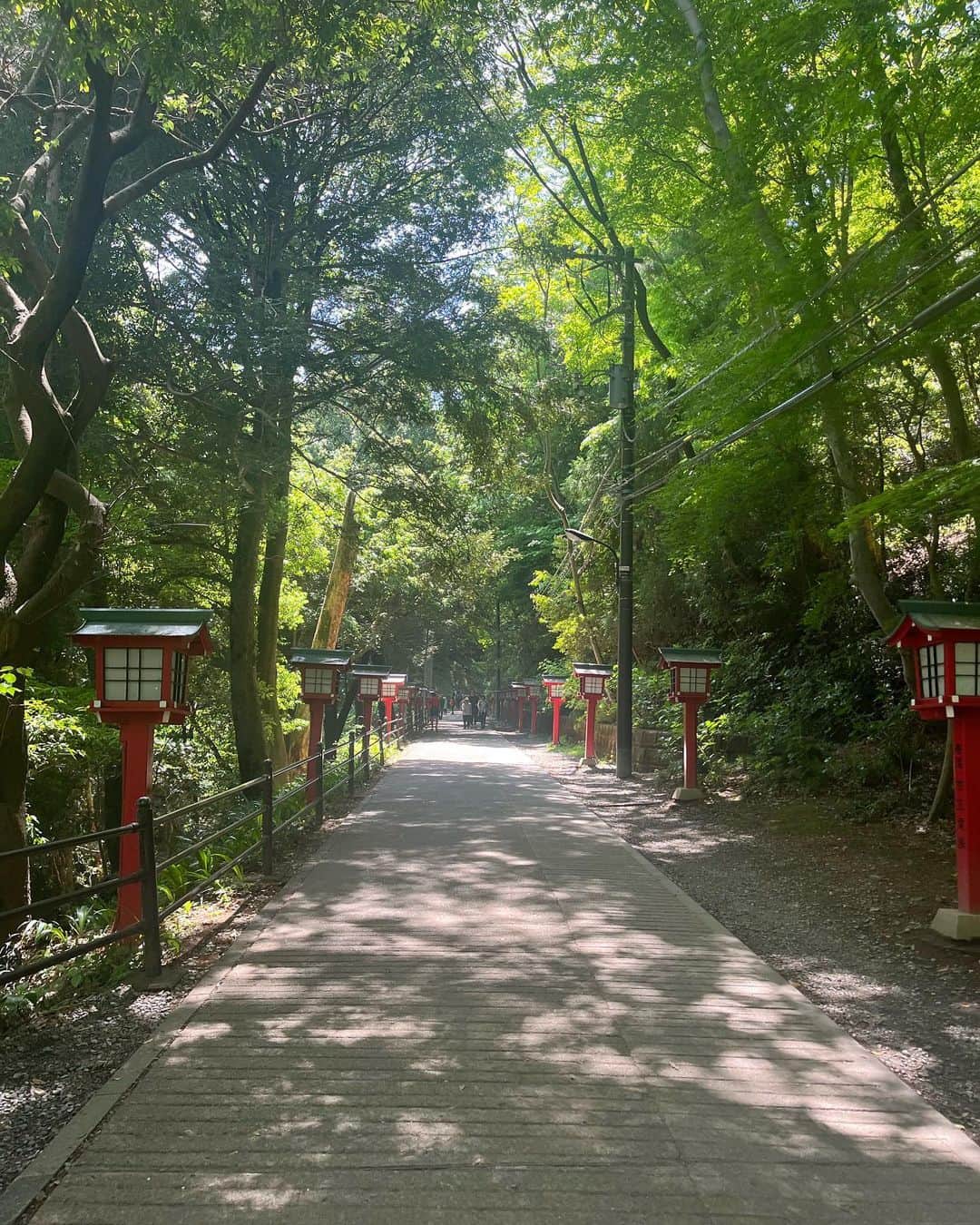 高田夏帆さんのインスタグラム写真 - (高田夏帆Instagram)「自然に吸い込まれるように⛰」5月9日 23時09分 - takadakaho