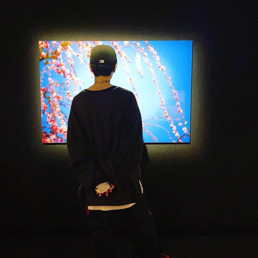 のインスタグラム：「. 蜷川実花さん( @ninagawamika )写真展 「 Eternity in a Moment 」  毎回素敵な空間すぎて 何度でも足を運びたい😆！」