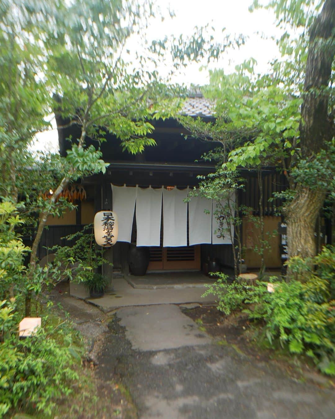 しゃらさんのインスタグラム写真 - (しゃらInstagram)「熊本・阿蘇⛰  黒川温泉ではなく、少し離れた村の一軒宿で父妹とゆっくりしました。秘湯だった〜  往復14hのドライブで、むかし鳥取ナンバーで東京の寮まで送ってくれたの思い出しました。 家族3人でまた遠出できたらいいな。  ♨️： とろとろの温泉 客室とあわせると6カ所 日帰り温泉しとる  🛌： 露天風呂付きの客室 2枚目が客室の温泉 ひろすぎる  🐟： 後ほど  #秘湯巡り#阿蘇観光 #奥阿蘇の宿やまなみ#しゃらホテル」5月9日 23時41分 - shara_kyana