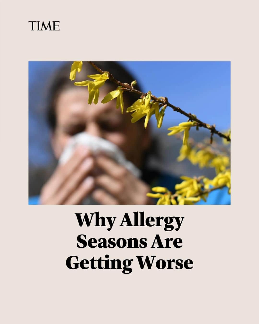 TIME Magazineのインスタグラム：「If you’ve been itchy, congested, and sneezy for months, you’re not alone. This year’s spring allergy season started early, broke pollen-count records in some parts of the country, and is still going strong in many areas.  Unfortunately, this year is unlikely to be a fluke. While pollen counts vary from year to year, recent trends suggest allergy seasons are, in general, getting longer and worse, says one expert.  Find out why allergy seasons are getting worse, and what you can do to prepare yourself, at the link in bio.  Photograph by Angelika Warmuth/DPA—Getty Images」