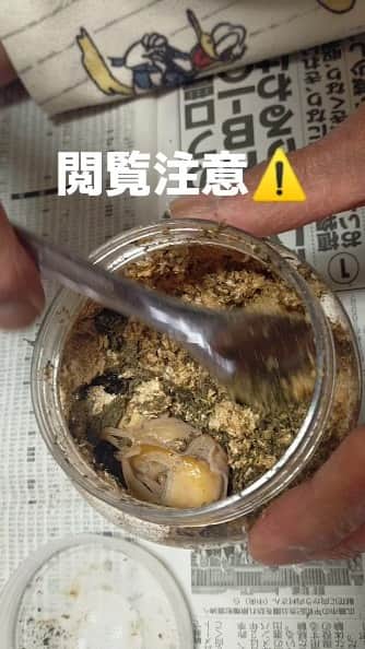 渡辺智子のインスタグラム：「きもい。」