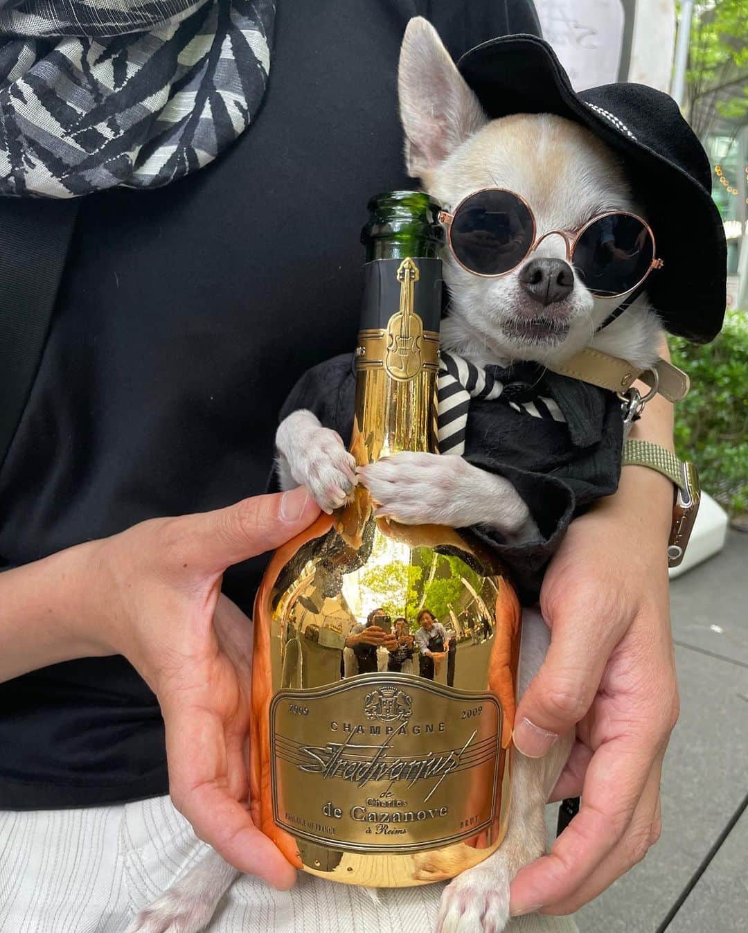 紋次郎のインスタグラム