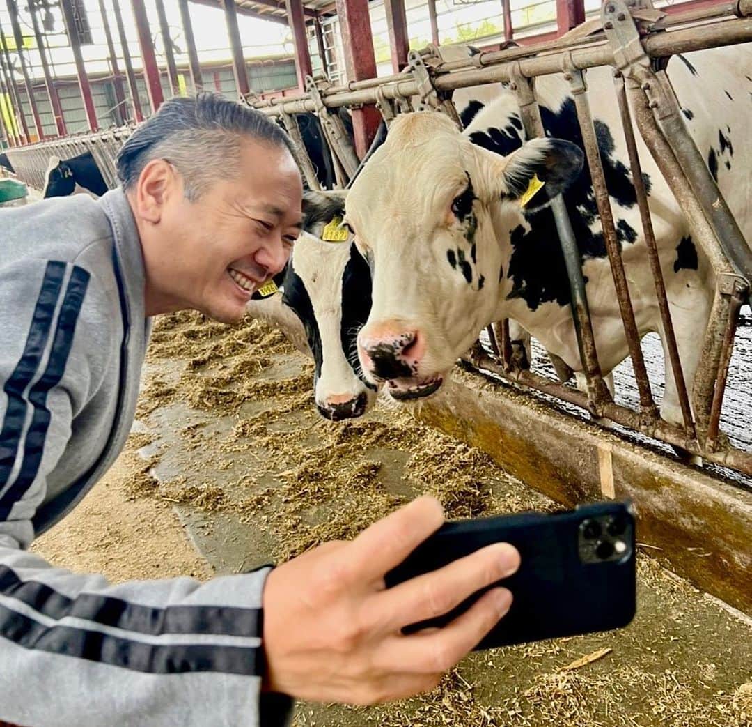 鎧塚俊彦さんのインスタグラム写真 - (鎧塚俊彦Instagram)「私にとって今回の北海道行きの大きな目的の一つ。 小林牧場の視察。 私の七つの夢の一つ「地域活性化と第一次産業の隆盛」のヒントが小林牧場のヒト・モノ・コトが自然な形で循環して、みんなが幸せになる「循環酪農」にある様に思うのです。 搾乳牛の牛舎から出る糞尿はすべてバイオガスプラントに集められ、プラント内でバイオガス、液肥、繊維質の資材に分離。バイオガスは同じく牧場内にある発電設備の燃料として利用され牧場の電力は全てまかなわれているだけで無く北電に売却されています。液肥は畑の土壌の養分に、繊維質の資材は牛たちのベッドの敷料に、それぞれ見事に活用されています。育成牛の牛舎から出る糞尿は敷料として使われている麦わらを含むため、良質な堆肥の原料となります。牧場内にある施設で充分に熟成された堆肥は、良質な土壌資材として畑に還元されます。 つまり豊かな大地からとれる牧草を牛が食べ乳を産み、牛から出る糞尿がエネルギーとなりまた養分となり豊かな大地を作り出すという見事なサイクルを作り出しています。 この様な皆んなが幸せになる循環酪農をヒントに地域活性化と第一次産業の隆盛に繋げてていきたいです。 #toshiyoroizuka #鎧塚俊彦　#トシヨロイヅカ　#SDGS #小林牧場　#循環農業　#柴田武」5月10日 7時10分 - toshiyoroizuka