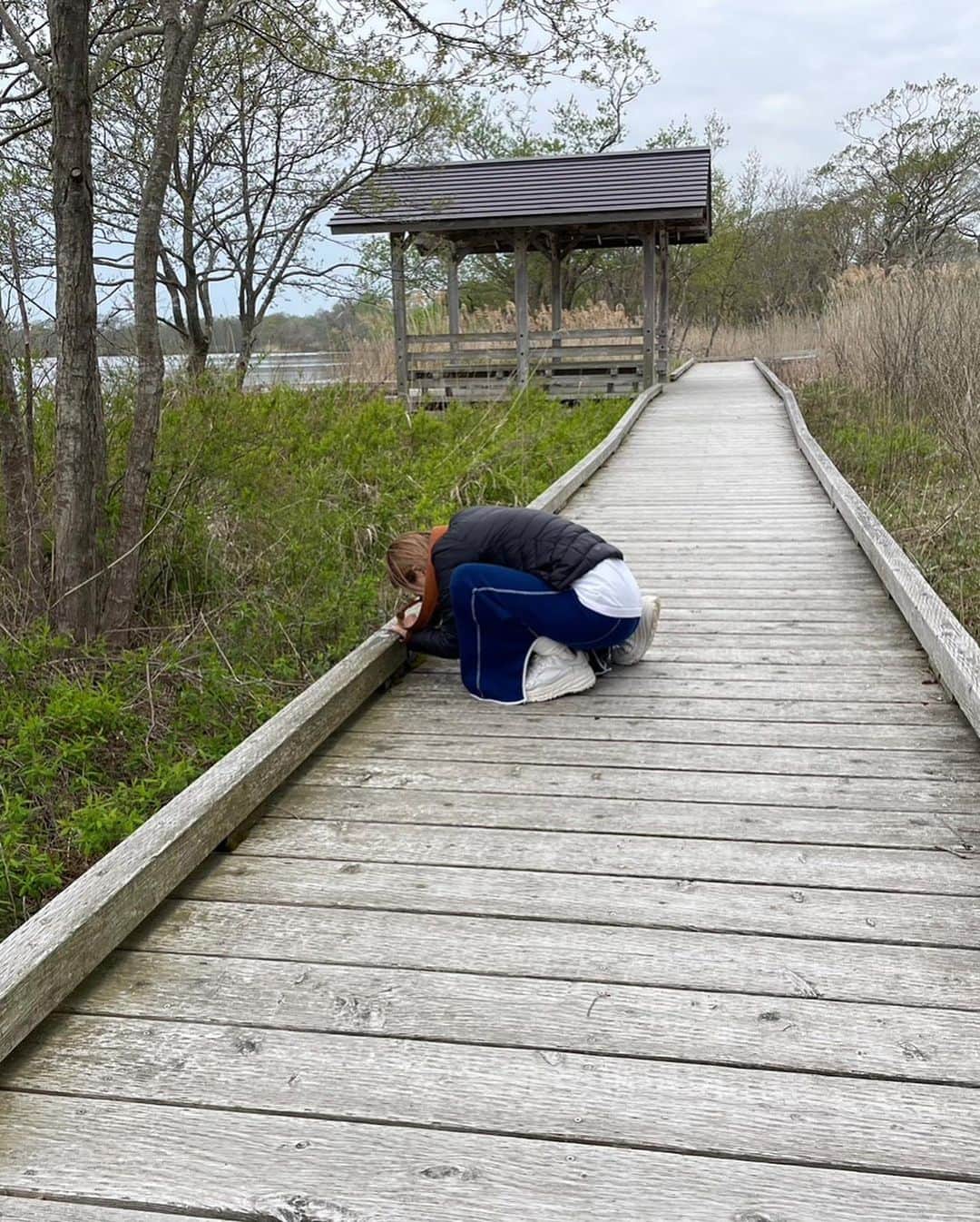 花盛友里さんのインスタグラム写真 - (花盛友里Instagram)「北海道苔旅。  苔を探して三千里！  （コケのためだけに行ったのではないけども）  最近苔にハマってるのでたくさんの苔を見れて幸せでした。  2枚目からは私が必死にコケを撮影してる図。  可愛いんだよなぁ。たまらんです。特に雨上がりがたまらんです。」5月10日 8時36分 - yurihanamori