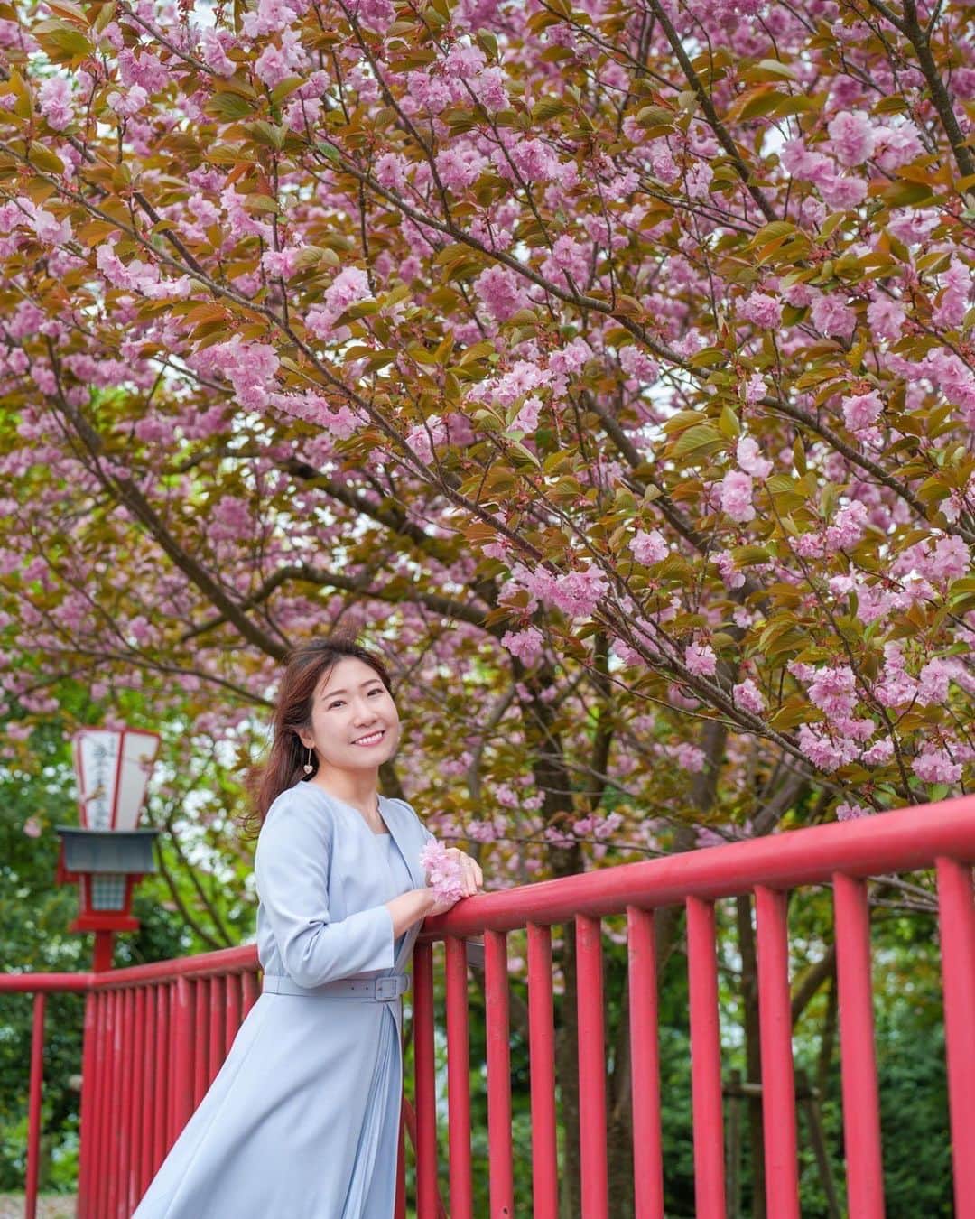 女子アナ47さんのインスタグラム写真 - (女子アナ47Instagram)「こんにちは！石川県・津幡町出身のフリーアナウンサー・多賀祐子です。 @yukotaga_baby_ana  私のふるさと・津幡町にある倶利伽羅峠は、約6000本の八重桜が咲き誇る桜の名所で、毎年「倶利迦羅さん八重桜まつり」が開かれています。 八重桜まつりの開催を前に、津幡町の倶利迦羅不動寺で4年ぶりに行われた「厄除け念仏赤餅つき」。住職が念仏を唱える中つきあげる赤餅には、実は不思議な言い伝えがあるんです。  詳しくはプロフィール欄にあるURLから【47発信プロジェクト】をご覧ください！   #女子アナ47 #フリーアナウンサー #地方創生 #47発信プロジェクト #石川県 #富山県 #津幡町 #小矢部市 #八重桜まつり #八重桜 #倶利迦羅不動寺 # 倶利迦羅さん八重桜まつり #倶利伽羅峠 #念仏赤餅 #厄除け念仏赤餅つき #司会 #津幡町商工会 #小矢部市商工会」5月10日 8時53分 - jana47com