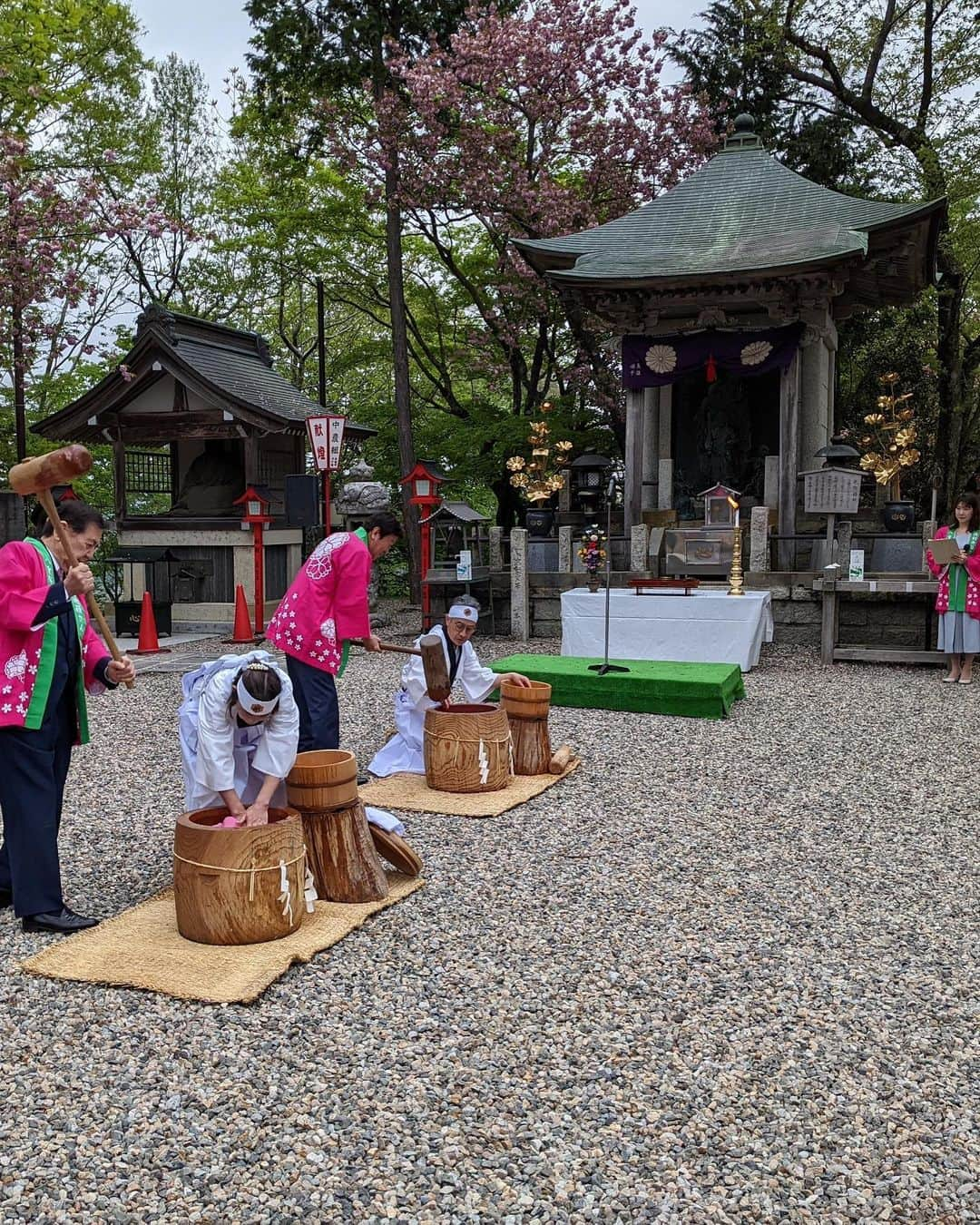 女子アナ47さんのインスタグラム写真 - (女子アナ47Instagram)「こんにちは！石川県・津幡町出身のフリーアナウンサー・多賀祐子です。 @yukotaga_baby_ana  私のふるさと・津幡町にある倶利伽羅峠は、約6000本の八重桜が咲き誇る桜の名所で、毎年「倶利迦羅さん八重桜まつり」が開かれています。 八重桜まつりの開催を前に、津幡町の倶利迦羅不動寺で4年ぶりに行われた「厄除け念仏赤餅つき」。住職が念仏を唱える中つきあげる赤餅には、実は不思議な言い伝えがあるんです。  詳しくはプロフィール欄にあるURLから【47発信プロジェクト】をご覧ください！   #女子アナ47 #フリーアナウンサー #地方創生 #47発信プロジェクト #石川県 #富山県 #津幡町 #小矢部市 #八重桜まつり #八重桜 #倶利迦羅不動寺 # 倶利迦羅さん八重桜まつり #倶利伽羅峠 #念仏赤餅 #厄除け念仏赤餅つき #司会 #津幡町商工会 #小矢部市商工会」5月10日 8時53分 - jana47com