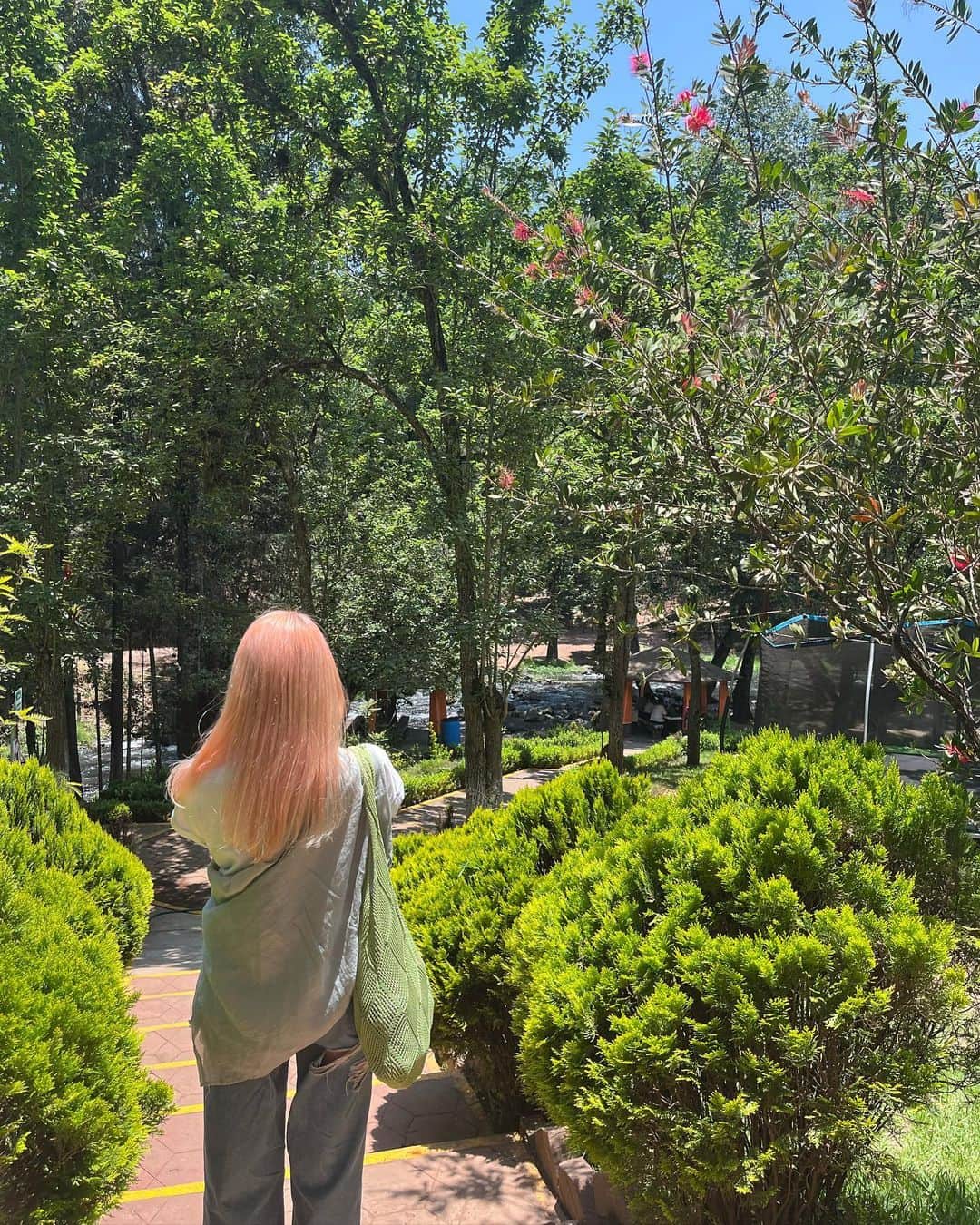 入山杏奈さんのインスタグラム写真 - (入山杏奈Instagram)「🍎<3」5月10日 9時08分 - iamannairiyama