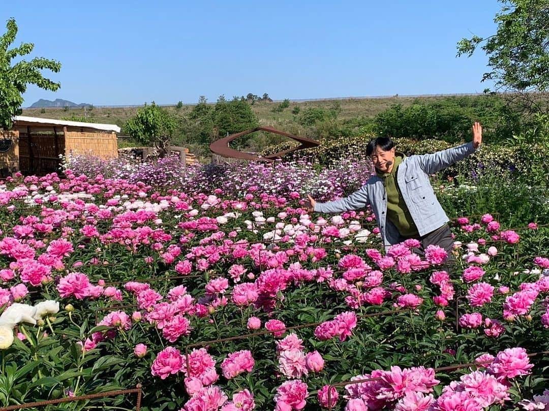 依田司さんのインスタグラム写真 - (依田司Instagram)「5月10日（水） 群馬県にある『富岡しゃくやく園』から。 切り花の出荷を行っていたご夫婦が、多くの人に見てもらいたいと３２年前に開園。 いまでは、５０品種およそ５０００株ものシャクヤクが咲き誇ります。 例年に比べて咲き進みは早く、今週末が見頃のピーク。 また、園内にはところどころに写真スポットもあります。シャクヤクを飾ったハート型のオブジェやオーナー手作りの作品、廃材を利用した木彫りや立派なイスなどもあります。 さらに、シャクヤクの切り花やドライフラワーなども販売しているので、母の日にもおススメです。  #富岡しゃくやく園 #JackWolfskin #ジャックウルフスキン #依田さん #依田司 #お天気検定 #テレビ朝日 #グッドモーニング #気象予報士 #お天気キャスター #森林インストラクター #グリーンセイバーアドバンス #プロジェクトワイルド #IPCC伝導者 #japan #japantrip #japantravel #unknownjapan #japanAdventure #japanlife #lifeinjapan #instagramjapan #instajapan #療癒 #ilovejapan #weather #weathercaster #weatherforecast」5月10日 9時17分 - tsukasa_yoda