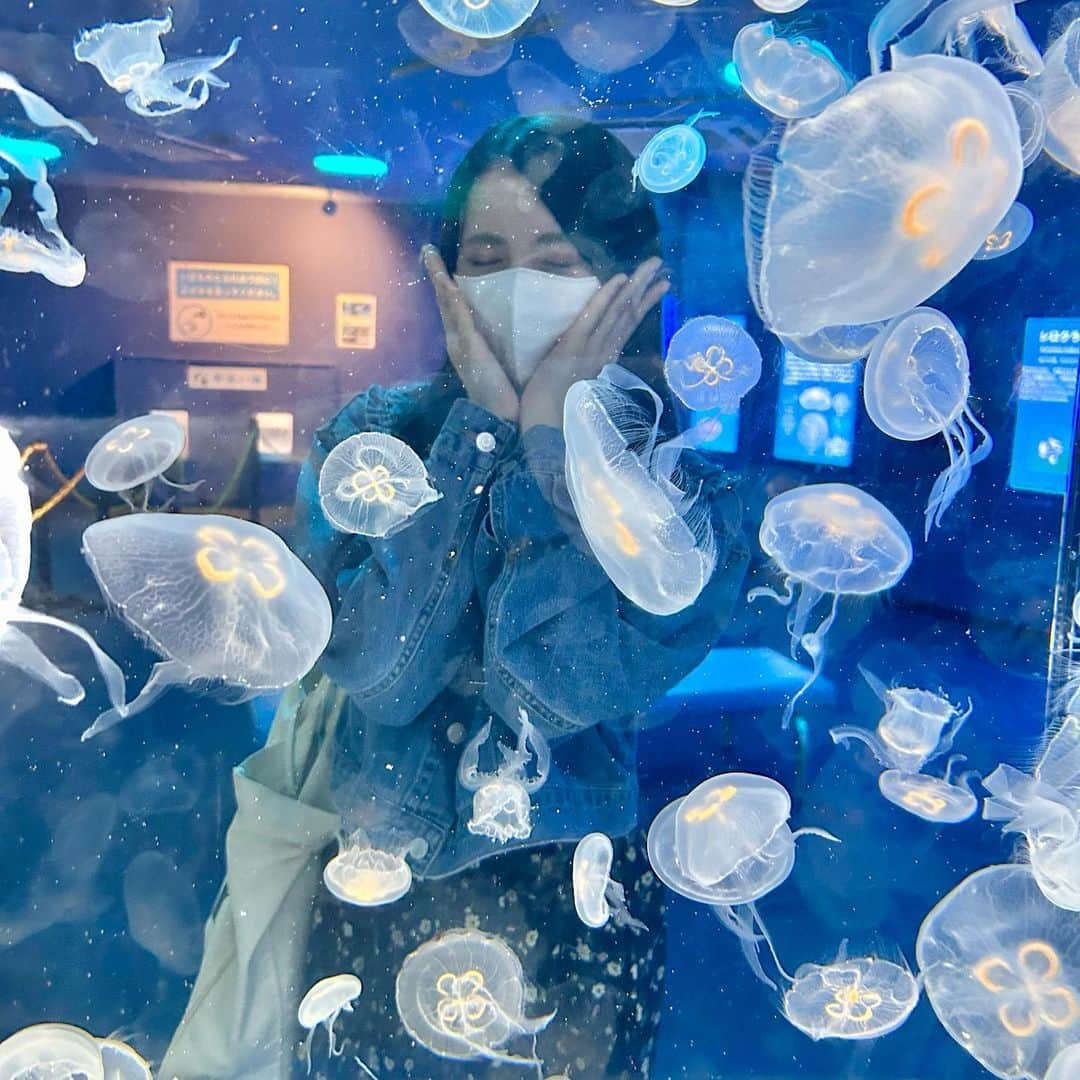 水島美結さんのインスタグラム写真 - (水島美結Instagram)「🪼🫧🪼  #しながわ水族館 #くらげ #海月  #水族館」5月10日 9時31分 - 17_miyuu_1112