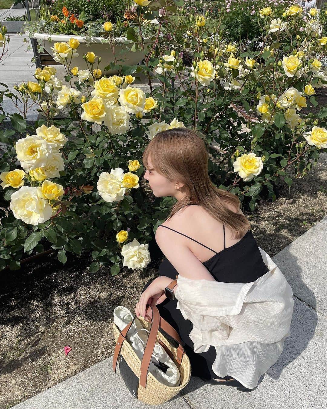 ムサシのインスタグラム