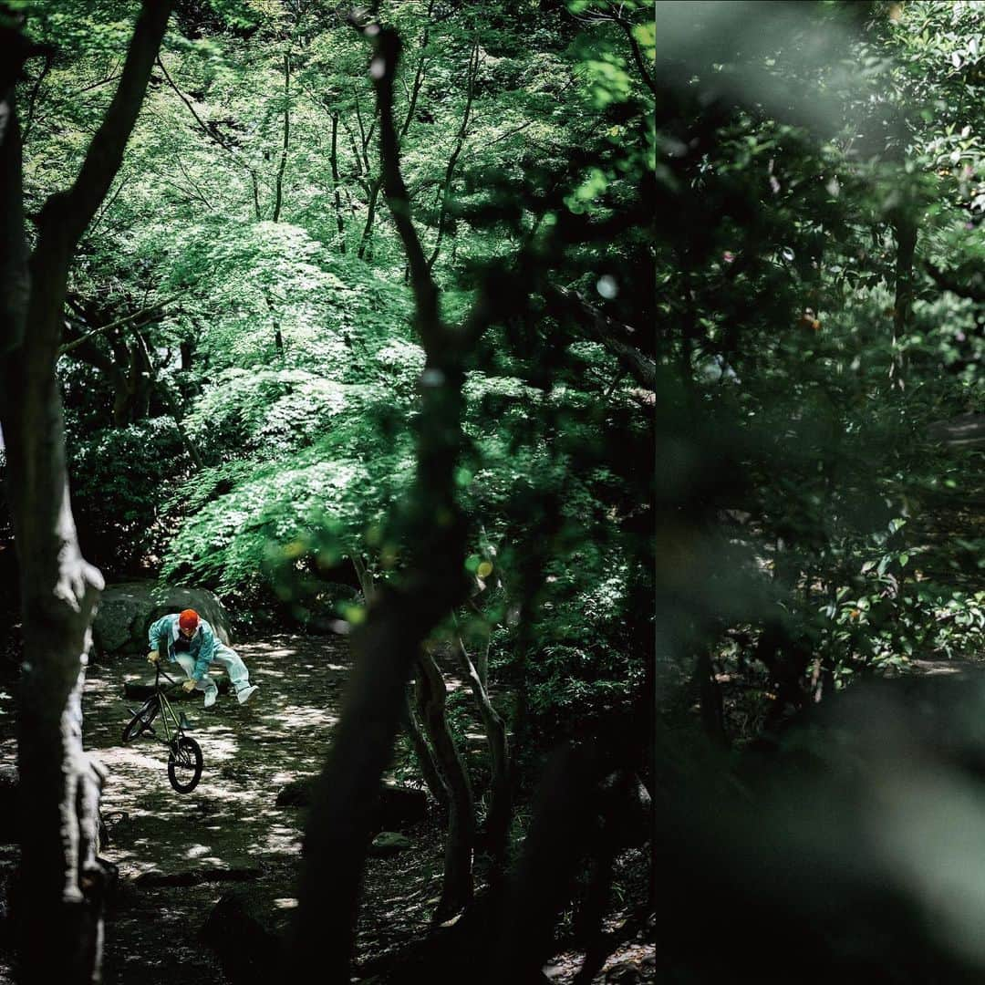 田丸なおとのインスタグラム：「Forest chiller.   @columbia_jp @columbia.tokyo  #columbia#colmbiatokyo  @wethepeoplebmx   Photo by @jason_halayko」