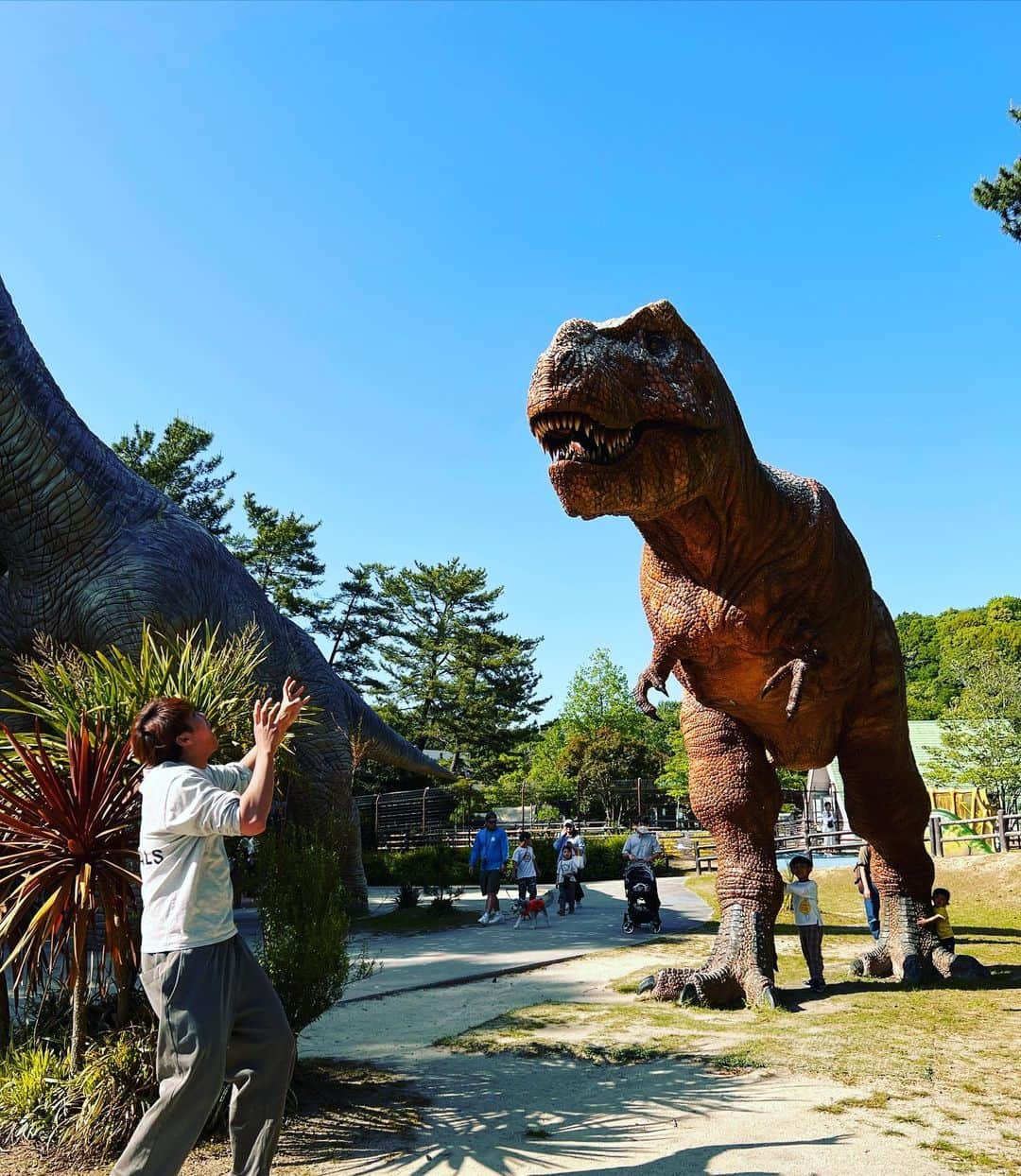 張本天傑のインスタグラム：「明日から沖縄に乗り込みます🦖🦖」