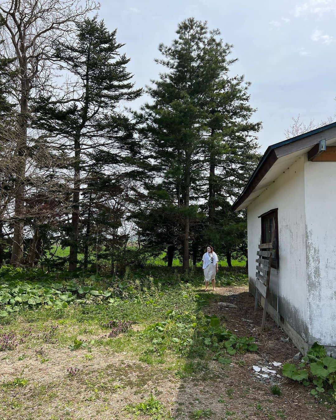 バービーさんのインスタグラム写真 - (バービーInstagram)「北海道には『バビグマ』っていうのがいてな、見かけた者はパックしたてのようなしっとり美肌になれるらしいぞ。  #gw #思い出 #ひったひたに浸り中 #バビグマ #イッヌが大好物」5月10日 19時50分 - fallin.love.barbie