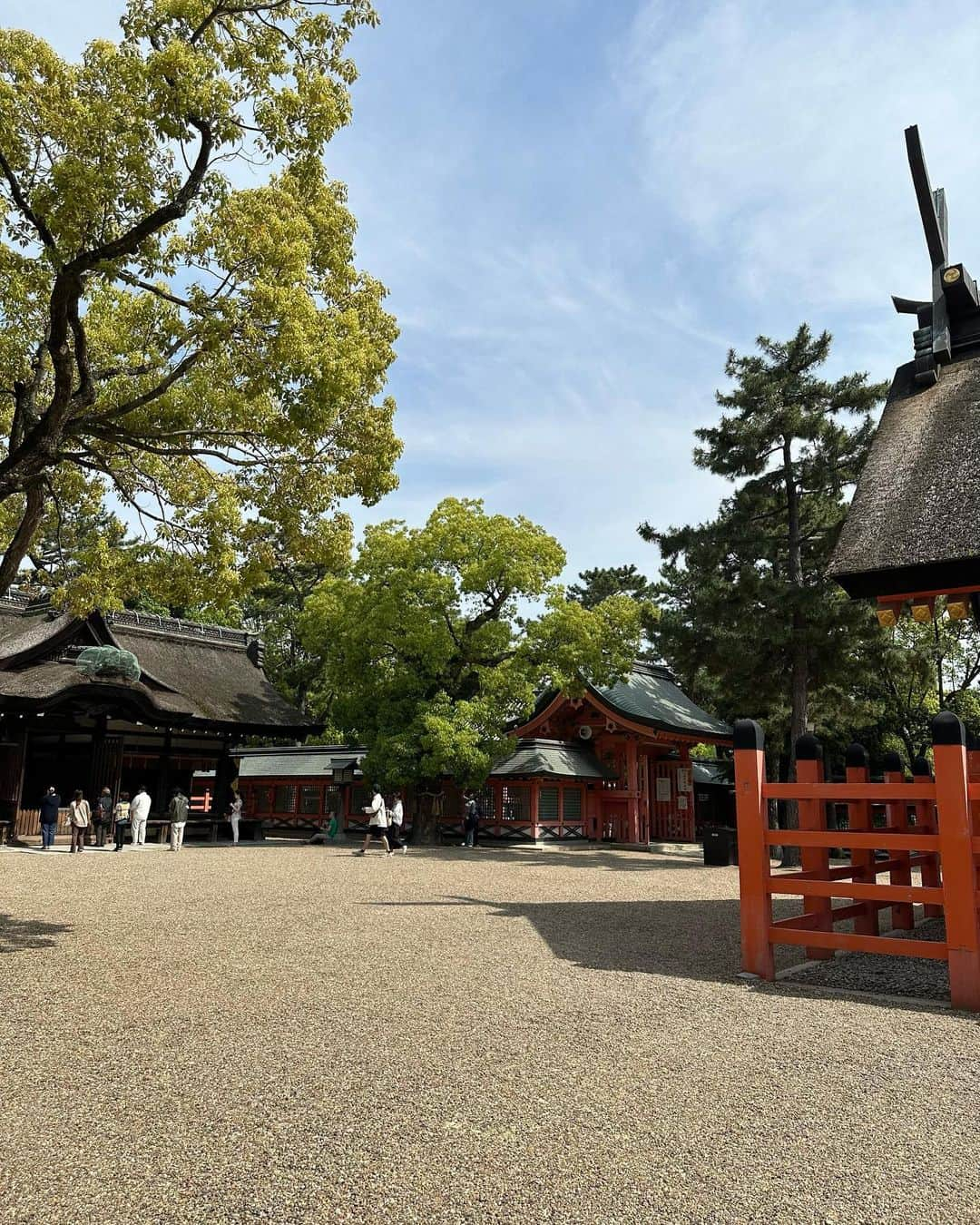 田中芽衣（めいめろ）さんのインスタグラム写真 - (田中芽衣（めいめろ）Instagram)「お仕事で大阪に来てました！ 東京戻る前に住吉大社に。 天気良くて最高でしたわ⛩☺️🖤 #私服タグ付けてるよ」5月10日 19時51分 - mei_tnk