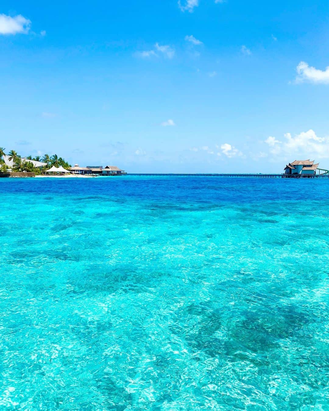 石岡麻奈美さんのインスタグラム写真 - (石岡麻奈美Instagram)「GWにずっと夢見てたモルディブへ。 エメラルドブルーに光り輝く宝石のような海。 その美しい海の上で過ごす極上の時間でした。  モルディブは1,000を超える珊瑚島があり、1島1リゾートホテル。なんと言っても洋上に浮かぶ水上ヴィラやコテージが魅力的です。 朝起きた瞬間海にダイブできちゃいますね。  そしてオールインクルーシブなので、好きなものを好きなだけ食べたり飲んだり…  ずっとここにいたくなるほど、全てが美しく楽しく幸せなところでした。  写真もたくさん撮ったので気ままに載せていきたいと思います🏖  #モルディブ #モルディブ旅行 #綺麗な海 #美しい海 #エメラルドブルー  #ビーチリゾート #ビーチ #水上ヴィラ #maldives #maldivesislands #beautifulocean #beautifulbeach #ozenreservebolifushi #ozen」5月10日 19時52分 - manami_ishioka