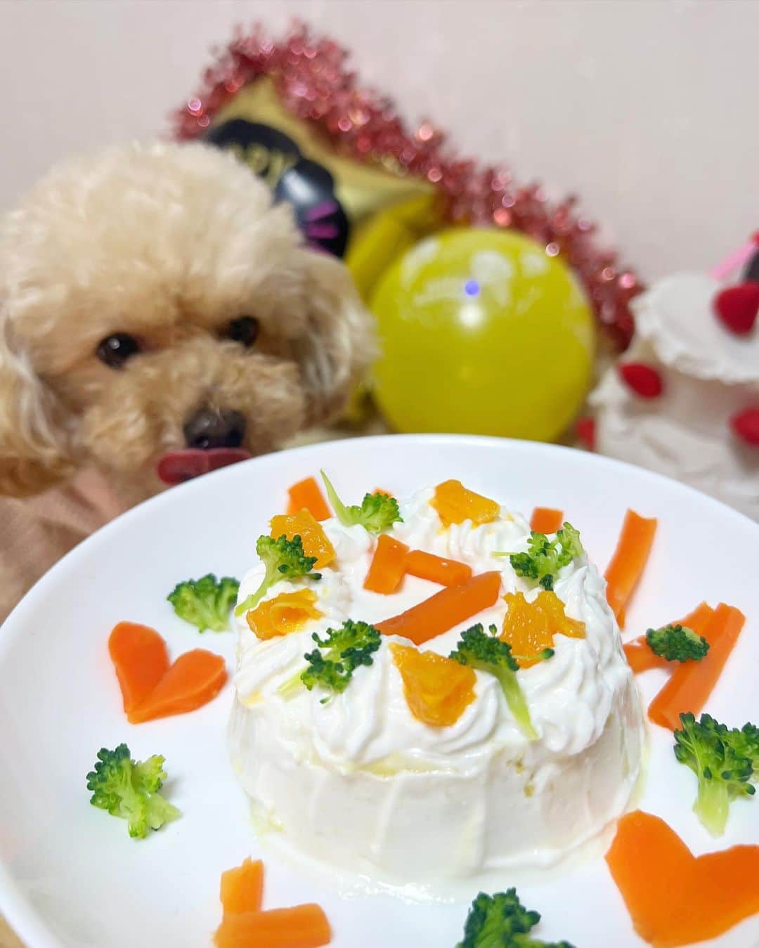 篠崎彩奈さんのインスタグラム写真 - (篠崎彩奈Instagram)「. 先日わたしの愛するお犬もなかが 5/5に 7歳の誕生日を迎えました🐶🎂  ケーキを手作りしてお祝いしたよ🥕  いつもいつも私たち家族を癒してくれて 本当に感謝の気持ちでいっぱいです。 これからもずっと元気に長生きして欲しい。 たくさん幸せな思い出を作りたいです☺️  愛してる🫶🏻  もなのアカウントもよろしくね♡ @monaka__a55   #愛犬 #誕生日 #プードル #犬のいる暮らし」5月10日 19時54分 - ayana.s_official