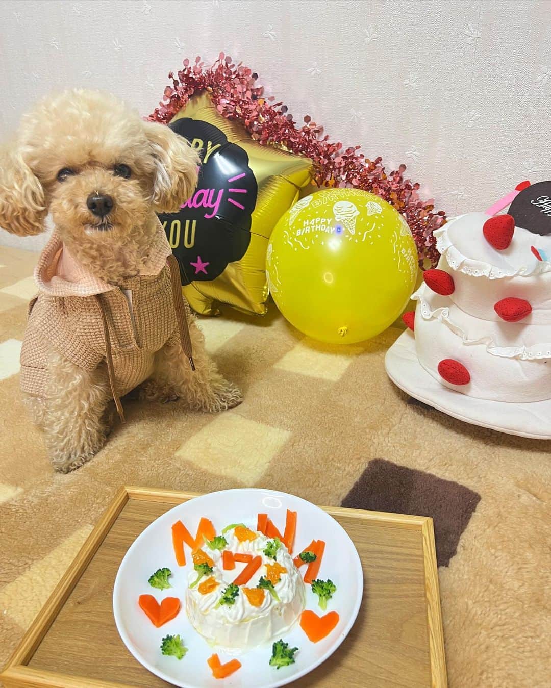 篠崎彩奈さんのインスタグラム写真 - (篠崎彩奈Instagram)「. 先日わたしの愛するお犬もなかが 5/5に 7歳の誕生日を迎えました🐶🎂  ケーキを手作りしてお祝いしたよ🥕  いつもいつも私たち家族を癒してくれて 本当に感謝の気持ちでいっぱいです。 これからもずっと元気に長生きして欲しい。 たくさん幸せな思い出を作りたいです☺️  愛してる🫶🏻  もなのアカウントもよろしくね♡ @monaka__a55   #愛犬 #誕生日 #プードル #犬のいる暮らし」5月10日 19時54分 - ayana.s_official