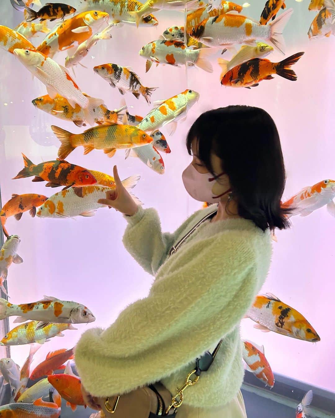 岩田陽菜のインスタグラム：「鯉さんと金魚さんたちが きらきら美しかったε( ε•o•)э 🌟  水族館をじっくり見れたのとっても幸せ時間🐠🪸」