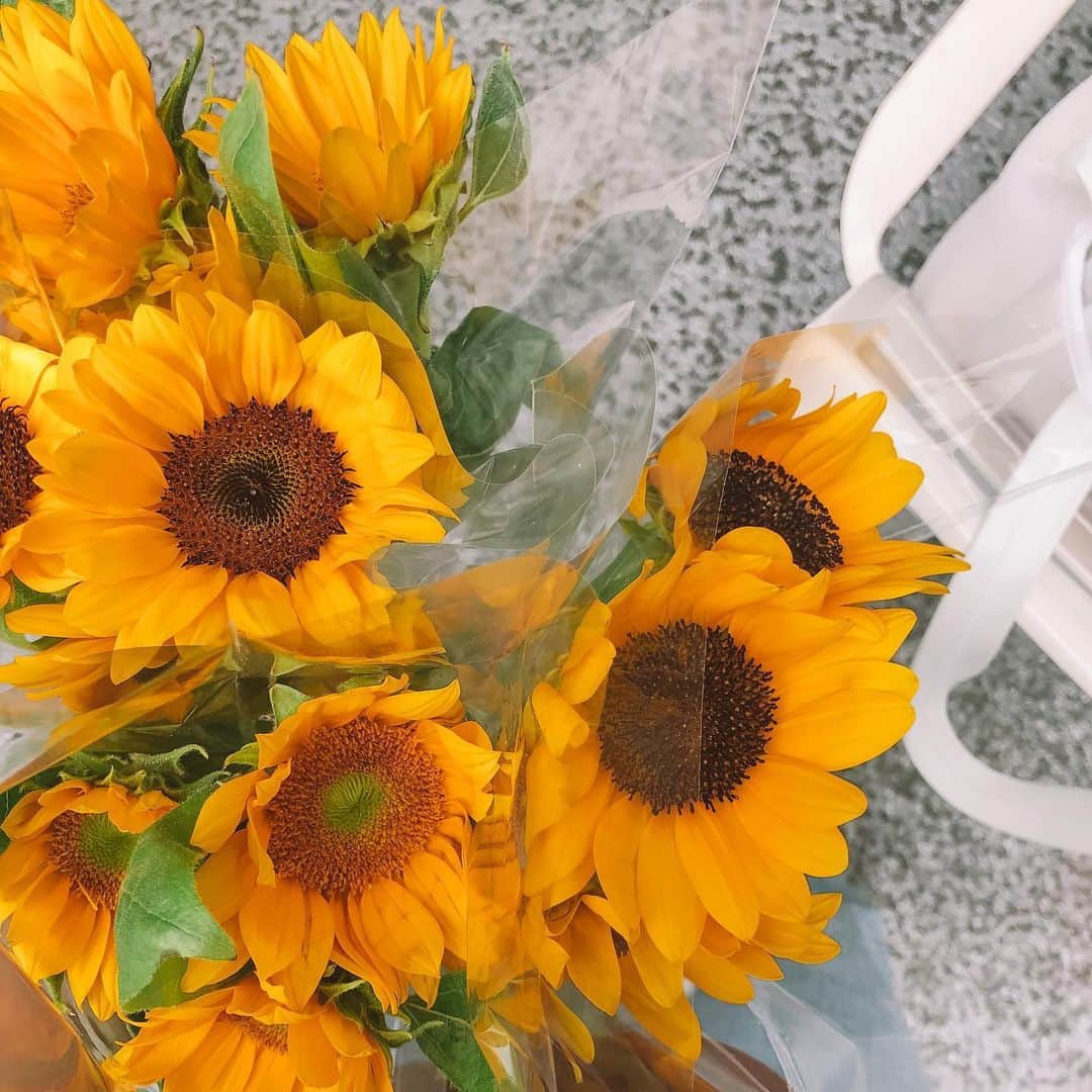 小松あやのインスタグラム：「. さきどり😎🌻 春夏のお花は元気が出るビタミンカラーが多くて好き🫰🏽 　 私の名前は「彩子」って書くのですが、最近友人のお子さんが生まれて、この漢字が入ってるのを見て、改めて良い字だなあと思いました←  #ひまわり #夏カラー #向日葵🌻 #お花のある生活」