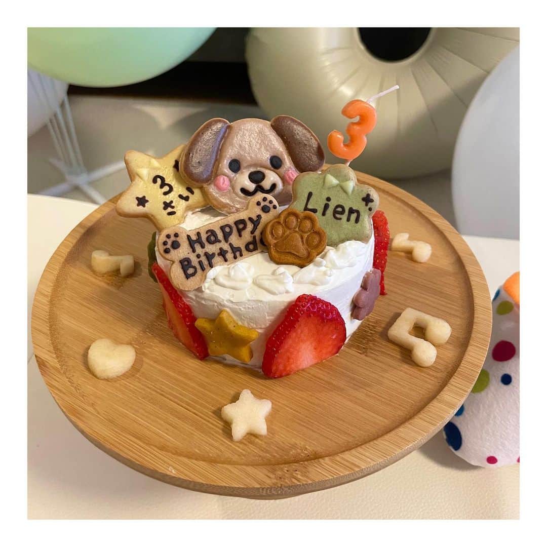 宮澤智さんのインスタグラム写真 - (宮澤智Instagram)「★ 5月2日に我が家のプリンスが3歳になりました！！🎉✨ 今年も さつまいもとかぼちゃとヨーグルトでケーキを作ってお祝い🎂 （可愛いクッキーは作ってないです😂） 実際にあげるときは小さく切り分けて 飾りのおやつも少しずつです😊 リアンはどんなお兄ちゃんになるのだろうか、、😎 長く健康でいてもらえるように これからも一緒に過ごしていきます🐶🤎  #愛犬　#トイプードル #3歳　#誕生日」5月10日 12時54分 - tomo.miyazawa