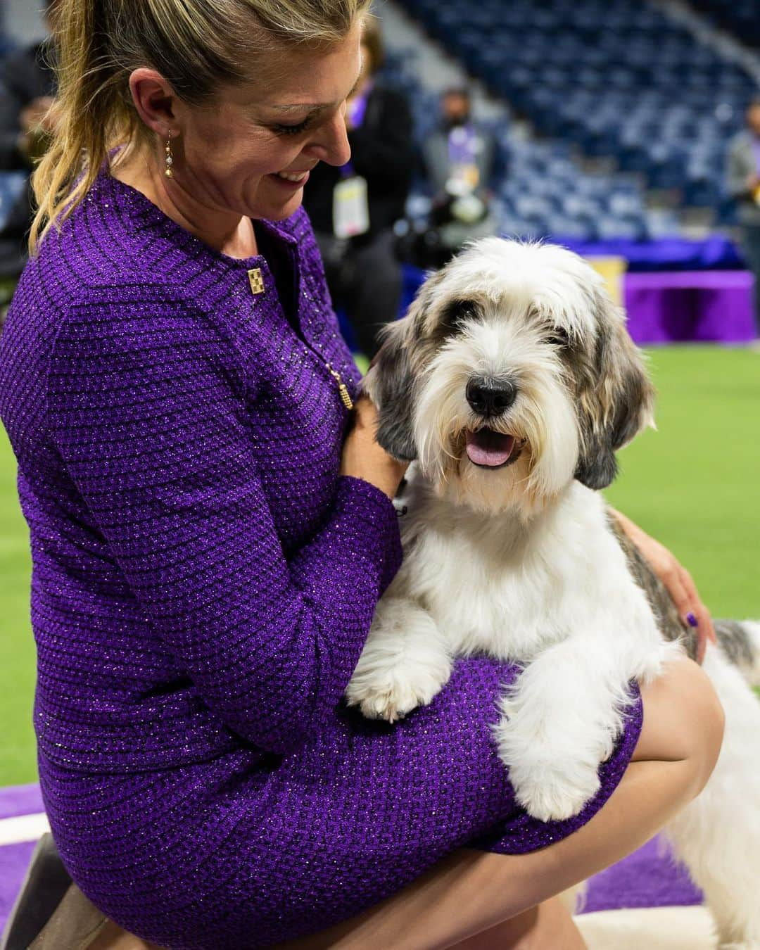 The Dogistさんのインスタグラム写真 - (The DogistInstagram)「BEST IN SHOW: Buddy Holly, Petit Basset Griffon Vendéen, 147th Westminster Kennel Club Dog Show, Flushing, NY」5月10日 13時14分 - thedogist