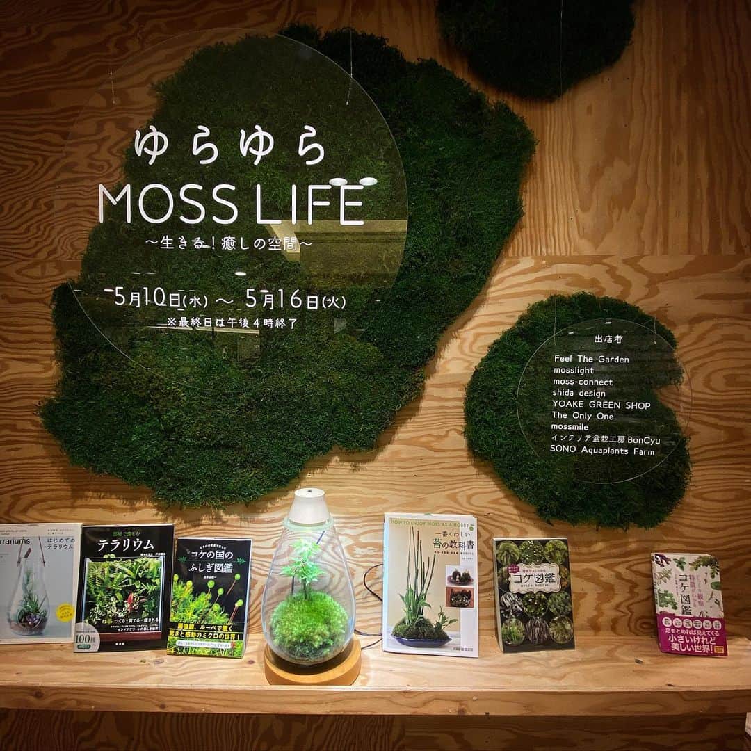 Mosslight-LEDのインスタグラム