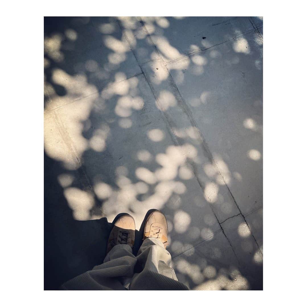 百々千晴のインスタグラム：「🫘」