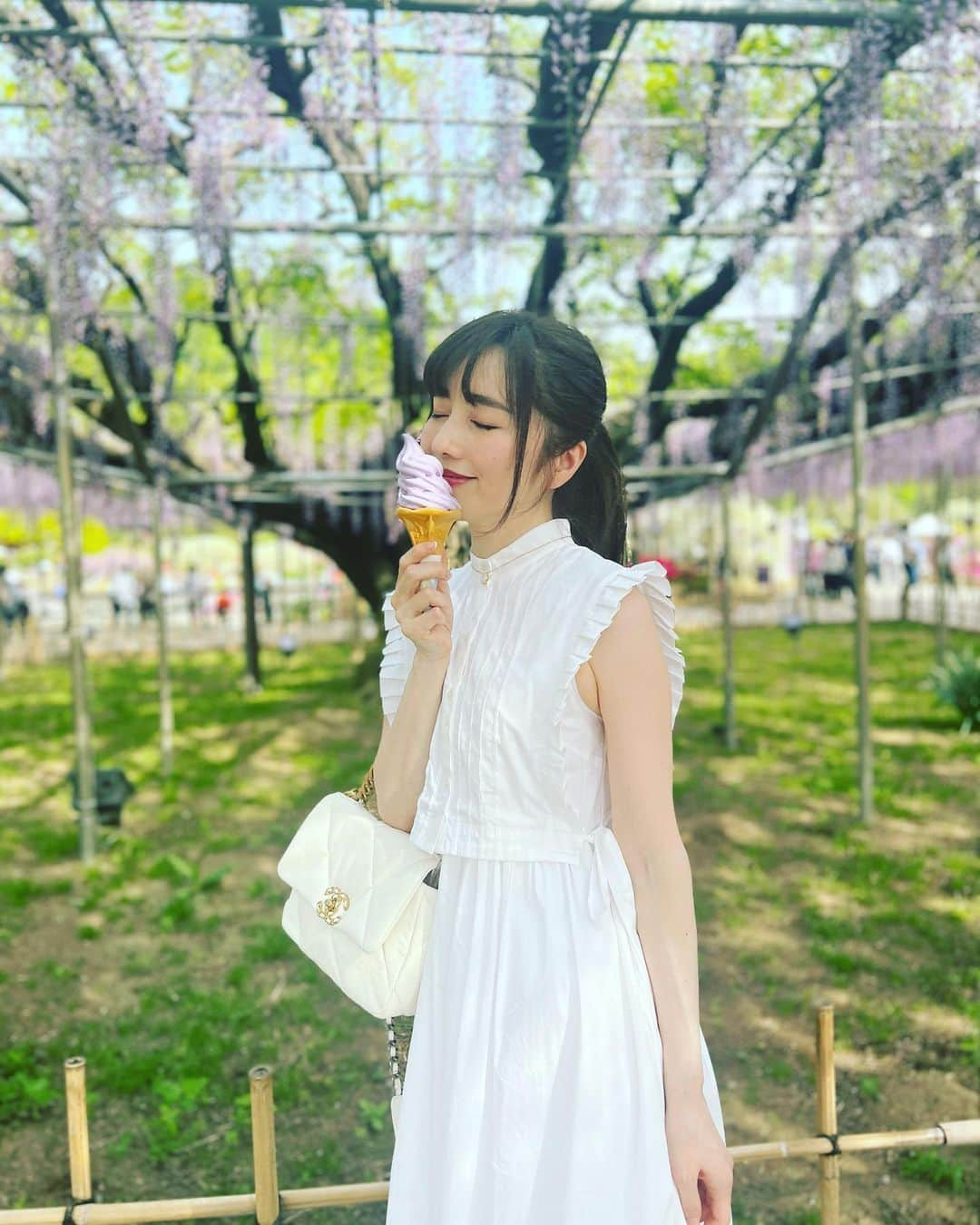 早川愛さんのインスタグラム写真 - (早川愛Instagram)「💜💜💜  今日は26度にまでなるみたい☀️ アイスクリームたべたーい🍦🍦🍦 藤ソフトも藤スムージーもほんとうに藤入りでおいしかった💜💜💜 @ashikaga_flower_park   ・  #大藤 #あしかがフラワーパーク #足利観光 #紫の世界 #happy」5月10日 13時26分 - megumegu_1006