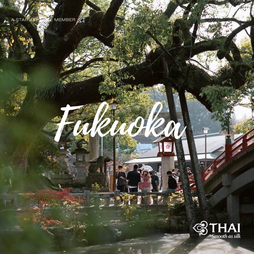 タイ航空のインスタグラム