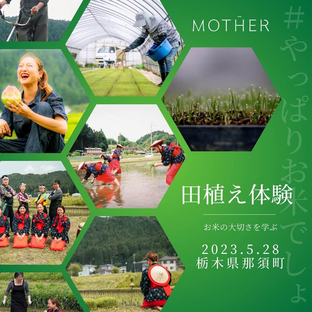 岡清華のインスタグラム：「【田植え体験🌾田植え祭✨ご予約受付中！5/28（日）@栃木県那須町】  今年も田植えの季節がやってきました。 青々しい苗を見ているだけで、清々しい気持ちになります🌱 現在、 @mother___jp では今月末に開催の、田植え体験付イベントの参加メンバーをまだまだ募集しています🌈😊 ご家族、友人、お誘い合わせの上是非ご参加くださいませ✨ ストーリー/ハイライトに載せています🫶  ※5/27-28宿泊参加は、1名キャンセルとなり空きが出ました。お早めに...🙇‍♀️  本イベントは田植え体験だけでなく・・  ✔︎田楽（でんがく）という、豊作を願うために田植えをしながらの太鼓や笛を用いてお囃子をすり日本の伝統文化もご覧いただけます ✔︎太鼓打ち体験　 ✔︎美味しいお米を使用した大人気カレー🍛 ✔︎お米を使用したおやつ ✔︎お米の生産者とのトークショー ✔︎お米やお野菜などの販売  など豊富なコンテンツをご用意しています。  田植え体験を始め様々な実体験を通して、私たちの生活に欠かせないお米の大切さを改めて見つめ直す機会になれば幸いです😌🙏  🌾イベント概要 ◼︎日時:5月28日（日）10時〜会場入り可  ◼︎開催場所:栃木県那須町 🚌那須塩原駅より送迎バス有り◎  ◼︎基本参加費:2,000円 (含まれるもの 体験費、昼食代、おやつ) ※未就学児は参加無料です  ◼︎定員:100名  ◼︎お申し込み方法: @mother___jp ストーリーのハイライト『募集中』よりお申し込みいただけます。 その他、メール、公式LINE、DMでもお気軽にご連絡お待ちしています😊🙏 メール📩info@mother-japan.com 公式LINE📱@572cdisr」