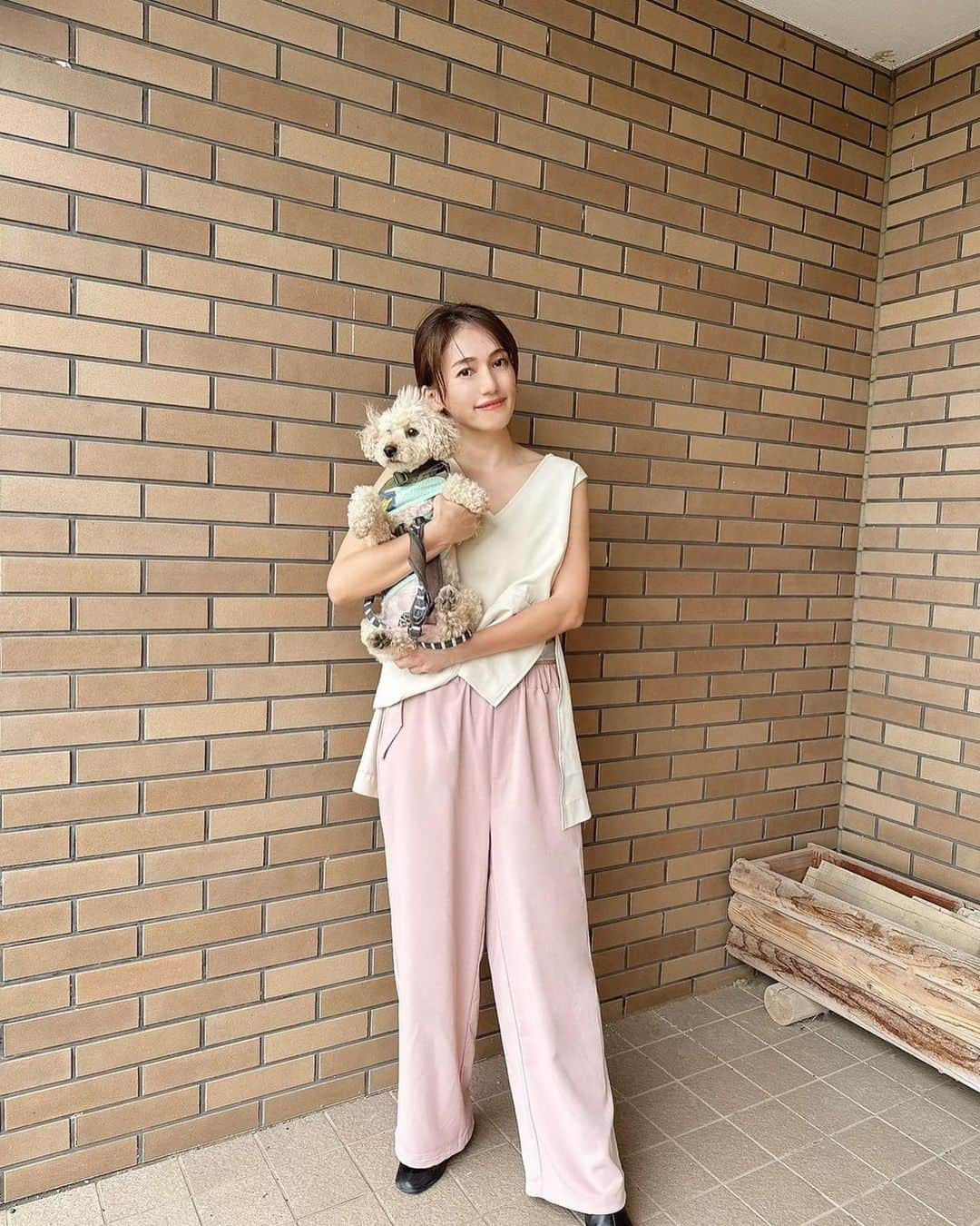 戸崎奈津さんのインスタグラム写真 - (戸崎奈津Instagram)「暖かかった日✨🐶  #ラナン @ranan_official の STORYコラボのセットアップ。 #夏先取りコーデ ✨ はっ水、UV対策、接触冷感の サラッと気持ちいい素材🌿 　 STORYコラボ 深Vノースリーブトップス 　▶︎ライトベージュ／M STORYコラボ パラシュートパンツ 　▶︎ピンク／L  甥っ子ちゃんが上手に写真撮ってくれた🤳 実家の🐶はモヒカンヘアです🥹  #PR #ranan #ラナン #rananstyle #トレンドコーデ #トレンドアイテム #きれいめファッション  #大人ファッション #大人コーデ #大人女子 #夏服 #夏ファッション #夏コーデ #雑誌story #story6月号 #story_love #storyweb #ファッション雑誌 #雑誌掲載 #トイプードル #犬 #toypoodle #dog」5月10日 14時16分 - naa_tsu0827