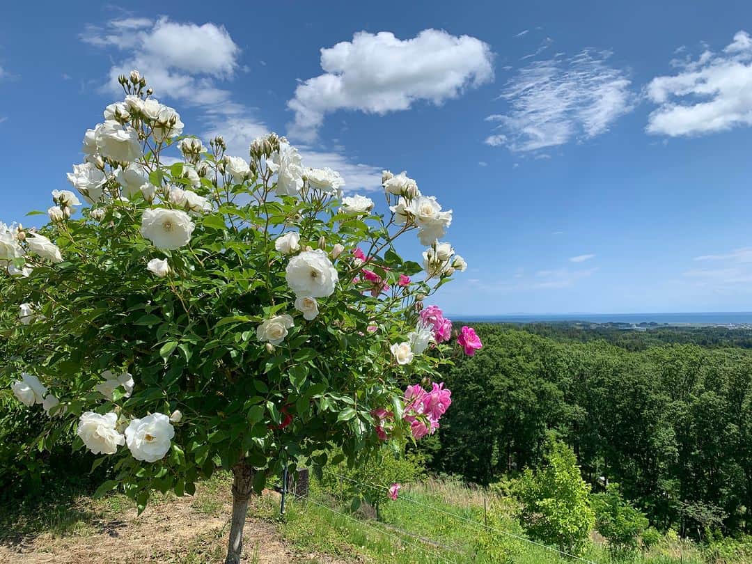 福島県のインスタグラム