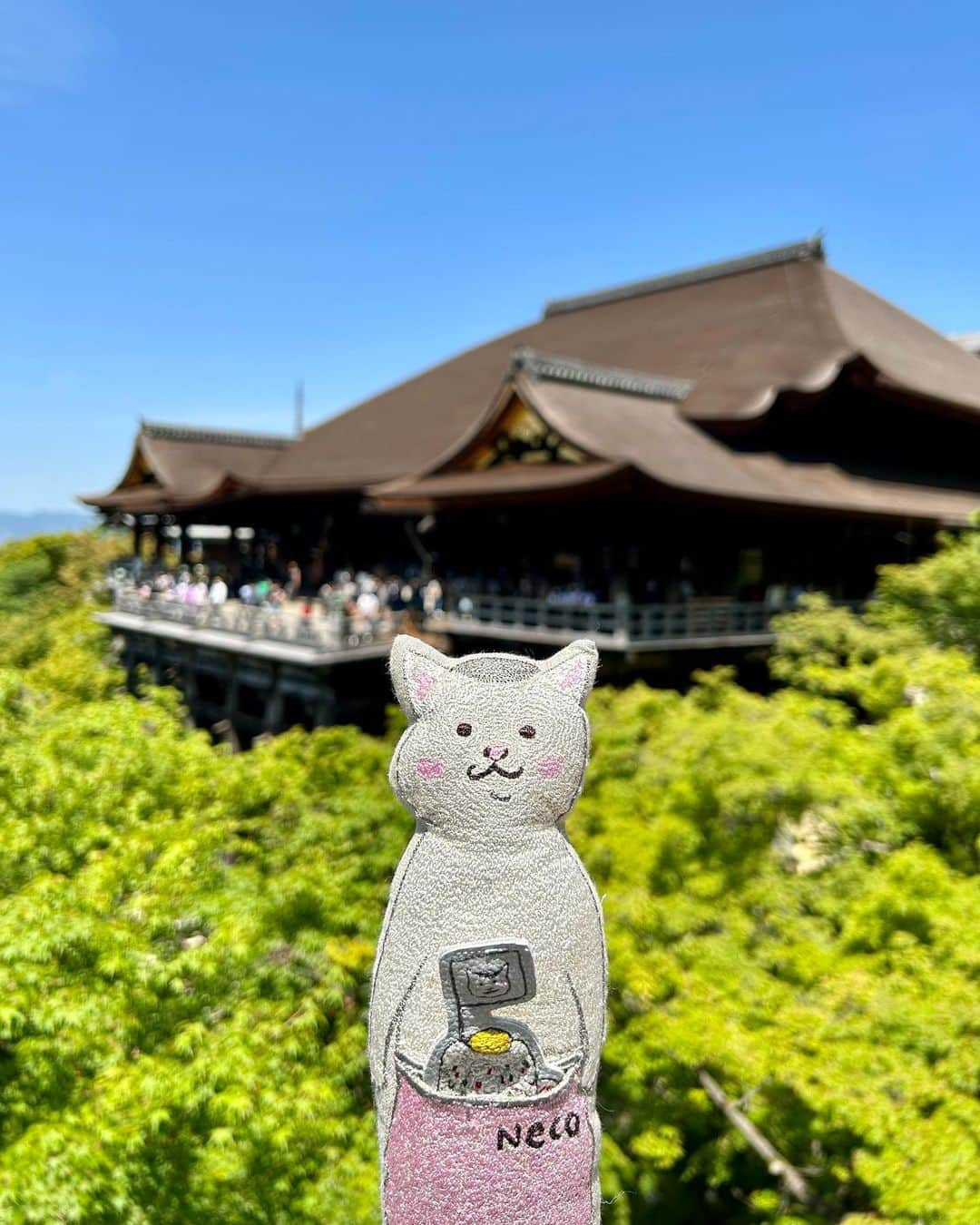 marikoのインスタグラム：「😸✨ 私たちの猫村さんが 京都をご案内🐈 世界遺産清水寺から 京都と言えば❓ の景色で有名な 法観寺は八坂の塔、 石塀小路を経て 最後は八坂神社まで😸 新緑眩しい5月9日、 行って参りました🐈🎵  お気に入りの人形と 観光地をスマホで撮る🤳 正直初めは 恥ずかしかったけど、 段々と気持ちが 盛り上がって 撮りながら次の アイデアが浮かんだり とても楽しい 京都散歩となりました😂 そして今回の主役は なんと言っても猫村さん♥️ 彼女をメインに撮ったので🤳 たとえ世界遺産だろうと 背景ですのでボケてます😂  #振り返りが難しい #人形の完成度が高いので #オタクにはならない笑笑 #傾き具合サイコー @navocof さんとお揃い #てか私がマネした笑笑 #なので #私たちの猫村さん #猫村さん #ネコムライス #coralandtusk  #そうだ京都行こう  #清水寺 #八坂の塔 #法観寺 #石塀小路 #八坂神社 #京都散歩 #specialthanksナオコさん♡」