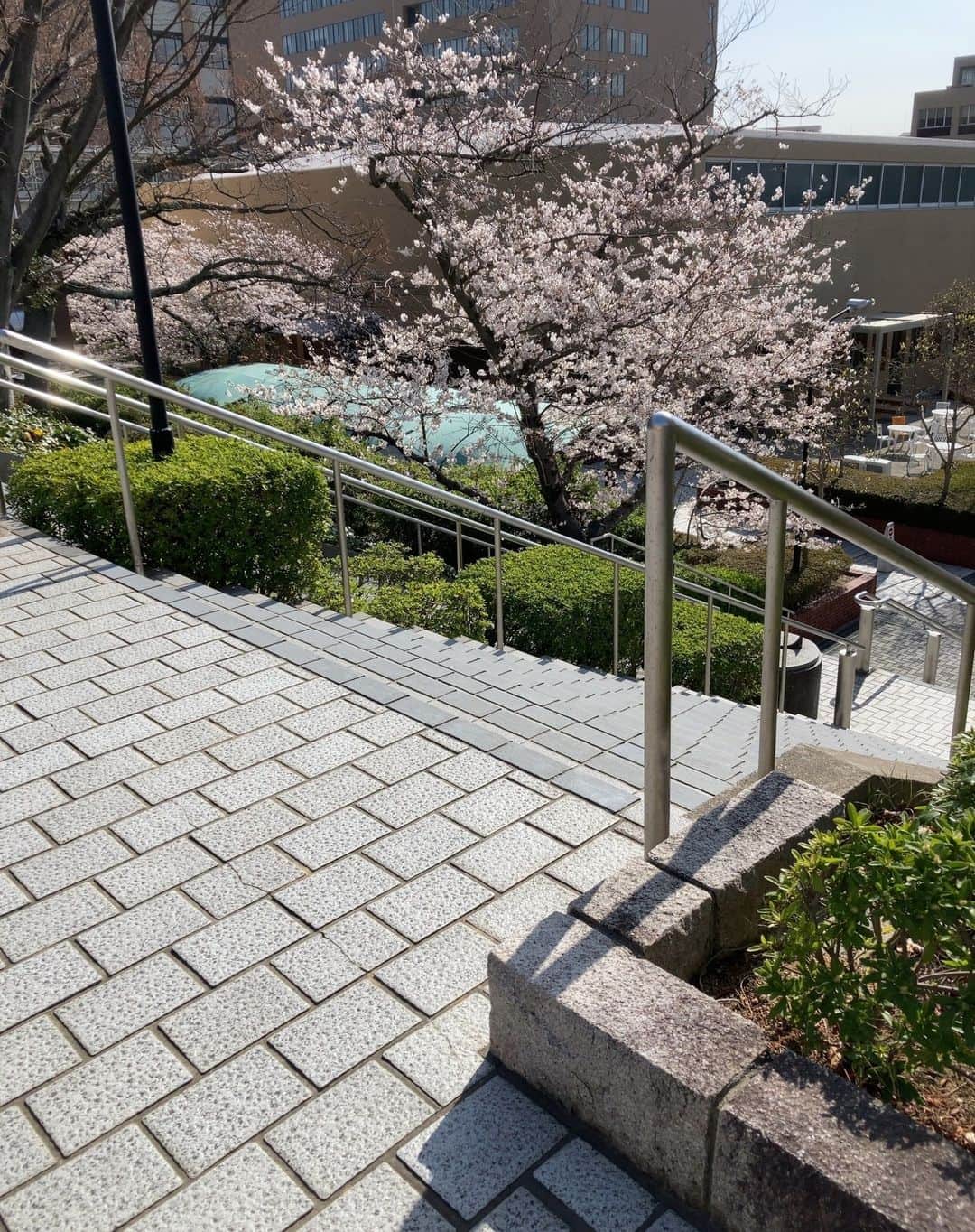 神戸学院大学さんのインスタグラム写真 - (神戸学院大学Instagram)「/ フォトコンテスト「神院大キャンパスライフの魅力」応募作品No.316【2023年4月－6月】人文学部１年次生 西山百花さんからご応募いただきました。  ～写真にまつわるエピソード～ 大学に入って初めて見た桜があまりにも綺麗だったので、写真を撮ってみました。 ～*～*～*～*～*～*～*～  満開の桜に迎えられた入学式から約１カ月。 授業や課外活動が本格的に始まる５月になりました。 そろそろ大学生活にも慣れてきましたか？  季節ごとに違った景色が味わえるキャンパスで 充実したキャンパスライフを過ごしてくださいね。  フォトコンテスト「神院大キャンパスライフの魅力」では、「おすすめの場所」「友達との楽しい時間」「サークルで活躍している姿」など、神戸学院大のキャンパスライフが伝わる写真と、写真にまつわるエピソードを募集しています。  応募方法は以下のURLから↓ https://www.kobegakuin.ac.jp/support/student_life/contest.html  たくさんのご応募お待ちしております。  #神戸学院大学 #神戸学院 #神戸 #大学 #kobegakuin #kobegakuinuniversity #桜 #桜スポット #有瀬 #有瀬キャンパス #新入生 #大学生と繋がりたい #学生生活 #写真 #写真コンテスト #フォトコンテスト #フォトコン #神院大 #キャンパスライフ #フォト #写真部」5月10日 17時16分 - kobegakuin_university_koho