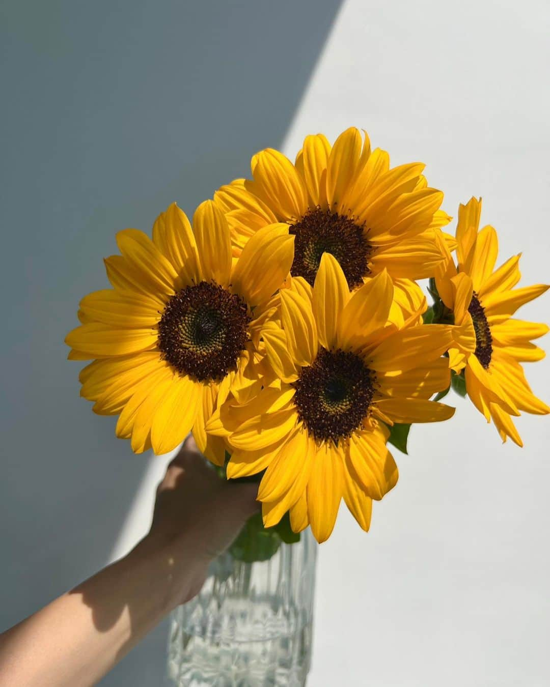 ユミ さんのインスタグラム写真 - (ユミ Instagram)「🌻🌻💛🌞  Hello! sweet sunflowers💛  #sunflowers #myfav #flowers」5月10日 17時32分 - yuminchu1029