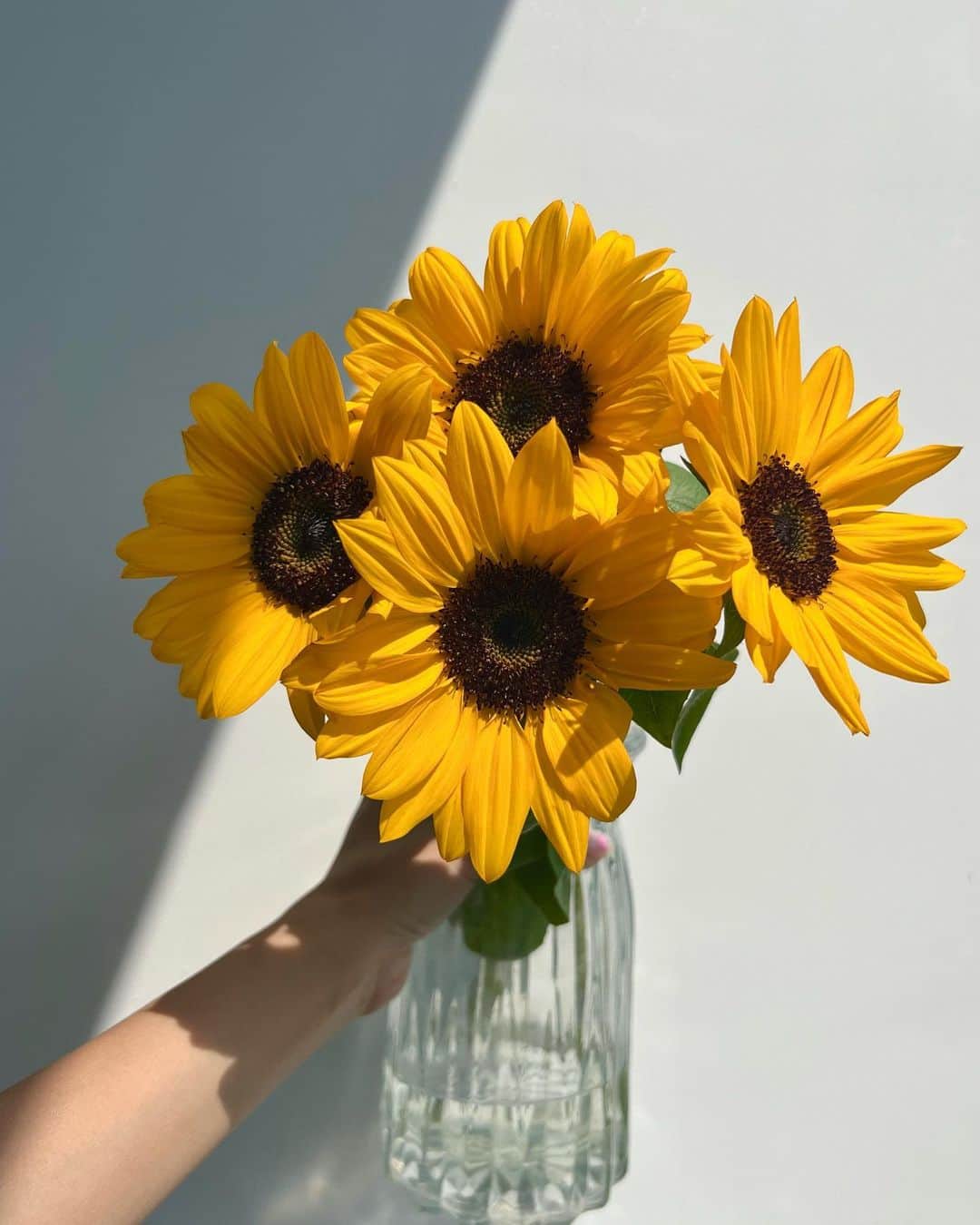 ユミ さんのインスタグラム写真 - (ユミ Instagram)「🌻🌻💛🌞  Hello! sweet sunflowers💛  #sunflowers #myfav #flowers」5月10日 17時32分 - yuminchu1029