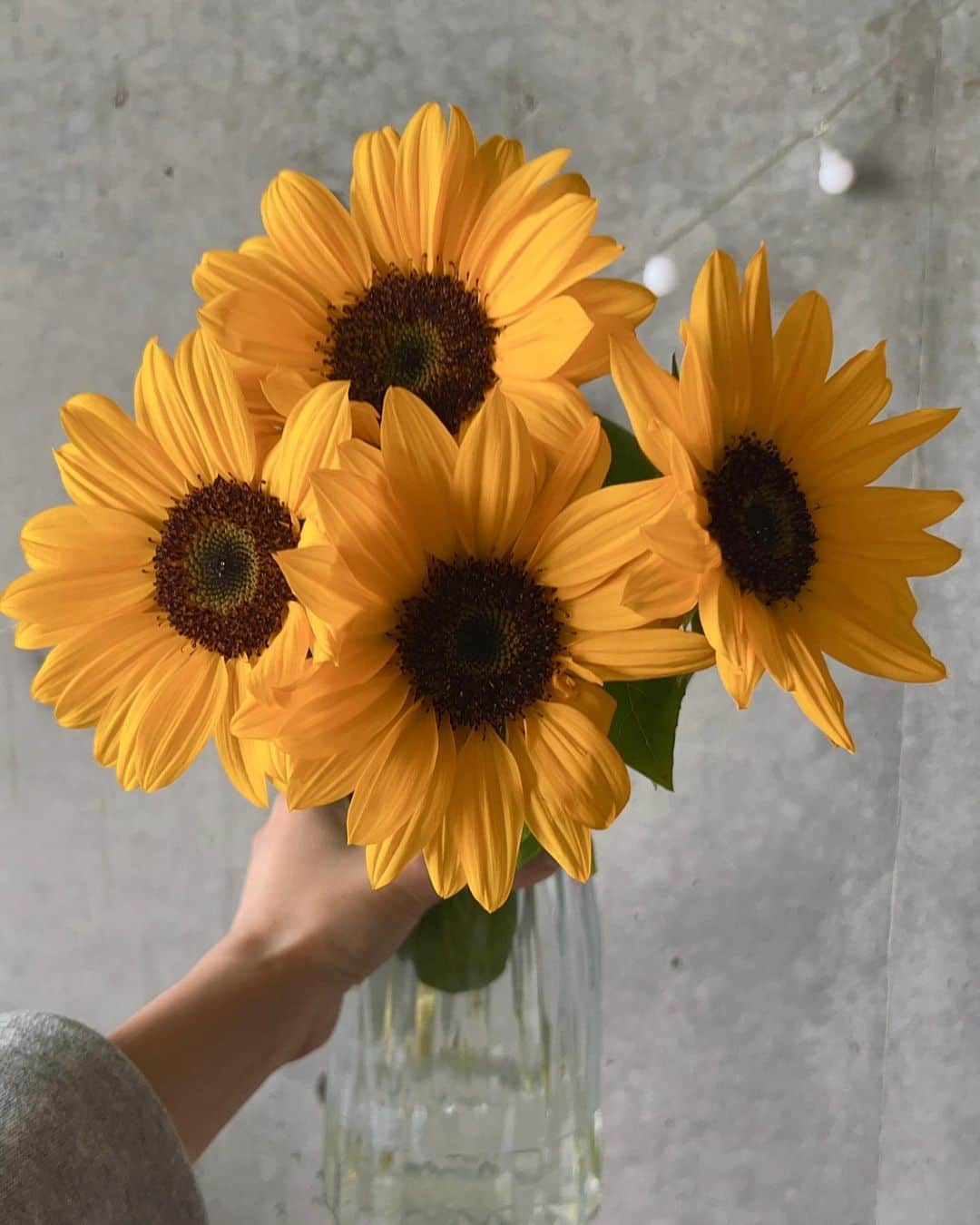 ユミ さんのインスタグラム写真 - (ユミ Instagram)「🌻🌻💛🌞  Hello! sweet sunflowers💛  #sunflowers #myfav #flowers」5月10日 17時32分 - yuminchu1029