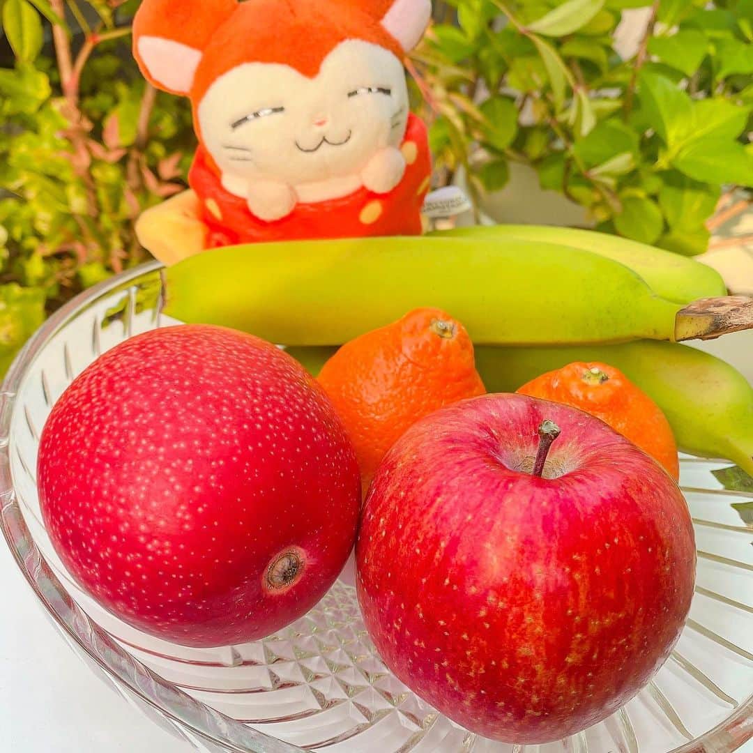 江崎びす子さんのインスタグラム写真 - (江崎びす子Instagram)「今日はなんと  みやざき完熟マンゴー🥭をGetしたのです✨  マンゴー食べるの超久しぶりだ  楽しみすぎる(о´∀`о)ﾜｸﾜｸ  #みやざき完熟マンゴー  #ミネオラオレンジ  #さんふじ」5月10日 17時32分 - bisukoezaki