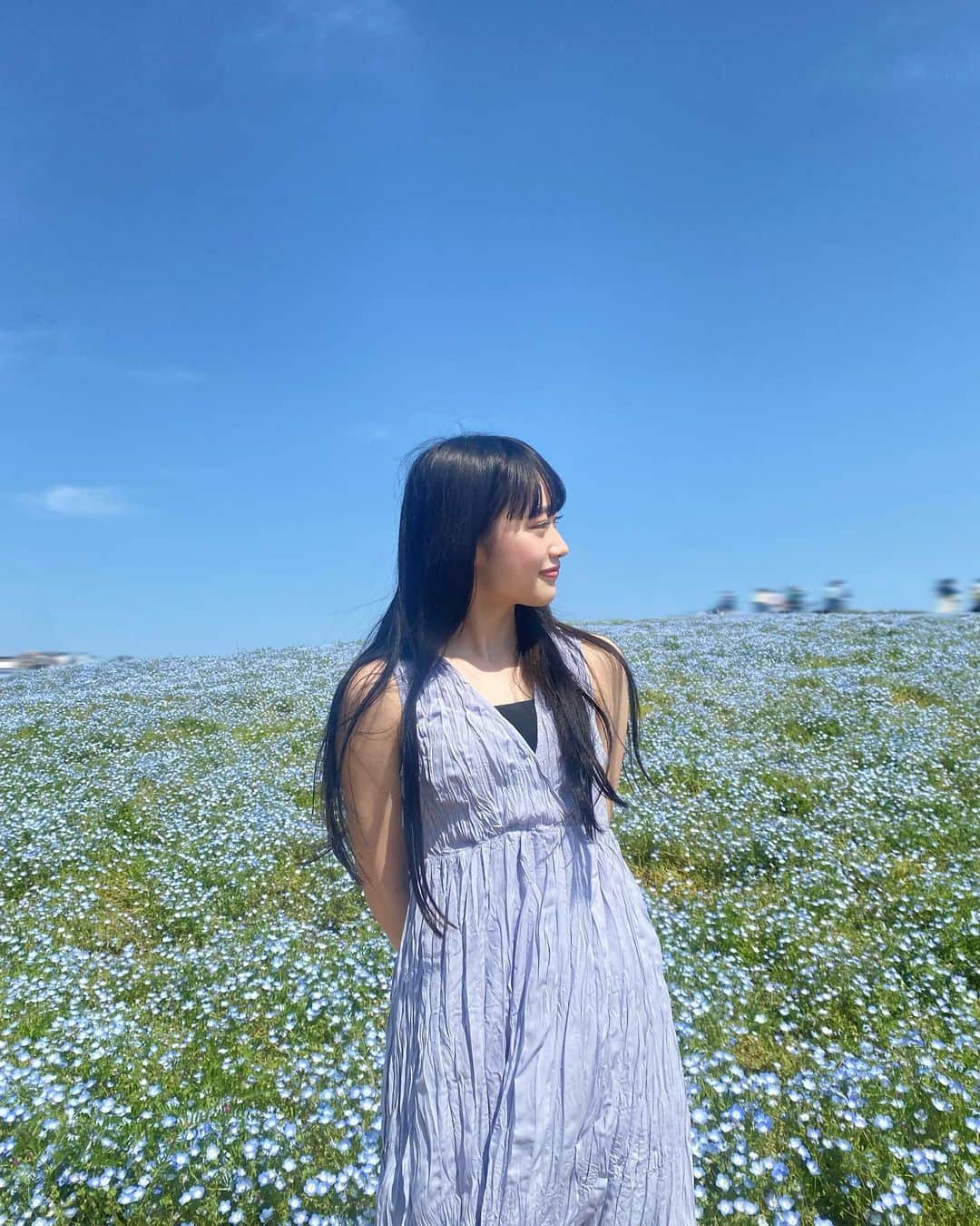 田中海凪と中山碧瞳（ミミナギ）さんのインスタグラム写真 - (田中海凪と中山碧瞳（ミミナギ）Instagram)「‪🩵🪽  沢山写真撮れて満足!  ・  ・  #中山碧瞳#みみ#ネモフィラ#菜の花#ワンピースコーデ#春コーデ#夏コーデ#06#ljk#jkブランド#ロングヘア」5月10日 17時34分 - mimi_nakayama__official