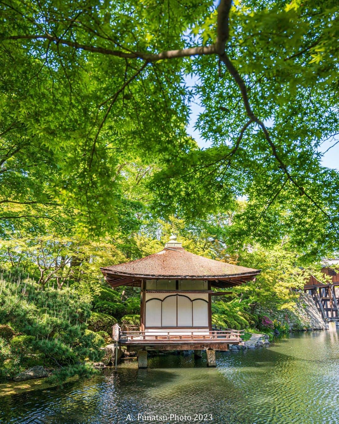 Visit Wakayamaのインスタグラム：「. Momijidani Teien Garden is one of the most beautiful gardens in Wakayama. While it is famous for fall colors, spring and summer bring vibrant greens and cooling shade. 📸 @akirafunatsu 📍 Momijidani Teien Garden, Wakayama」