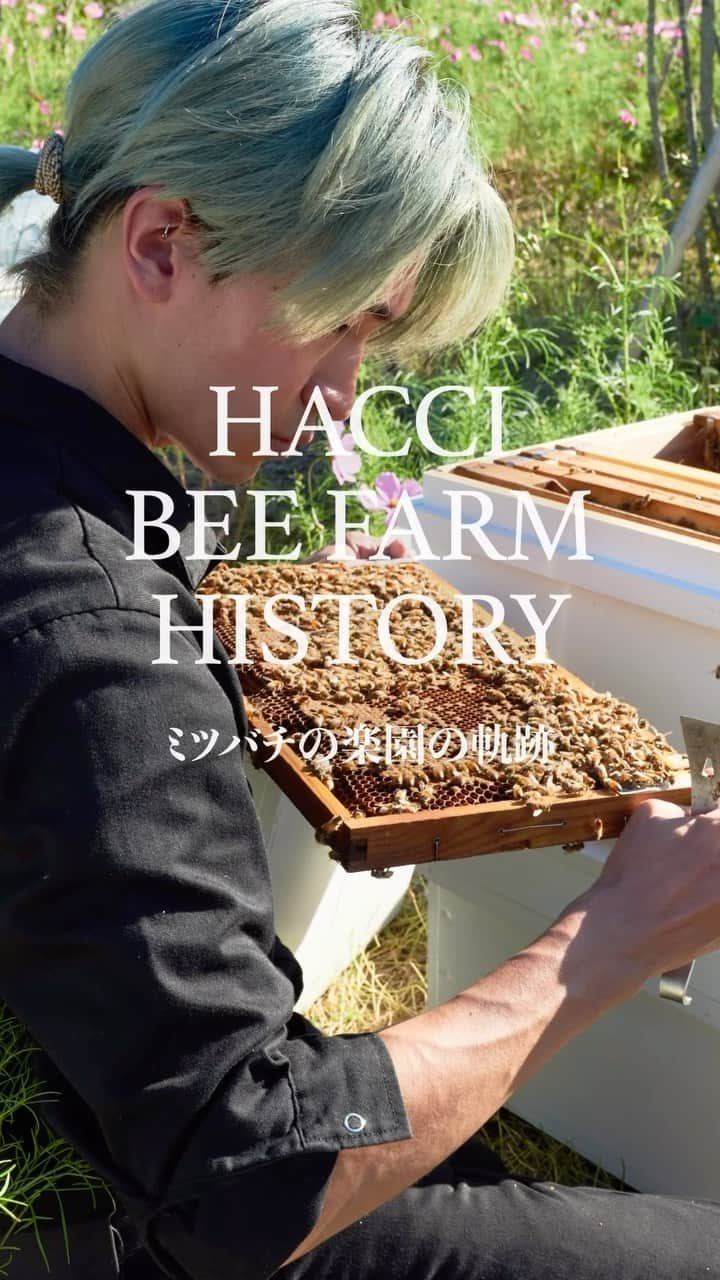 HACCI officialのインスタグラム