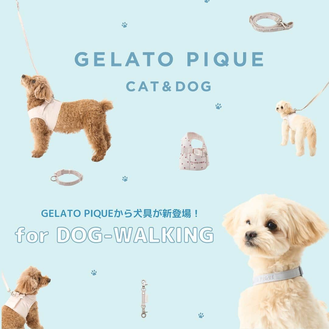 Caluluさんのインスタグラム写真 - (CaluluInstagram)「GELATO PIQUE CAT&DOGより犬具が新登場🐾  お散歩が楽しくなる、オシャレで可愛い犬具が揃いました💝  ハーネス・リード・首輪・ジョイントの4種類がございます♪全て揃えても可愛いですよね🍓  数に限りがございますのでお早めに🌷  -----------------------------  Caluluオンラインショップは ▼プロフィールのlitlinkよりアクセス🐶 @calulu_dogwear  -----------------------------  #calulu #caluludogwear #カルル #カルルドッグウェア #きょうのわんこ #癒しわんこ #わんこ部　#いぬすたぐらむ #犬のいる生活 #おしゃれわんこ #わんわん物語 #いぬのいる暮らし #お出かけわんこ #お出かけわんこ部 #いぬとの暮らし #カルルわんこの会 #カルルにゃんこの会 #ねこのいる生活 #ねこのいる幸せ #猫のいる暮らし #ねこすたぐらむ #ねこ部 #ペット用品 #ペットグッズ #ペットアイテム #gelatopique #ジェラートピケ #ジェラピケ #犬具 #お出かけグッズ」5月10日 18時31分 - calulu_dogwear