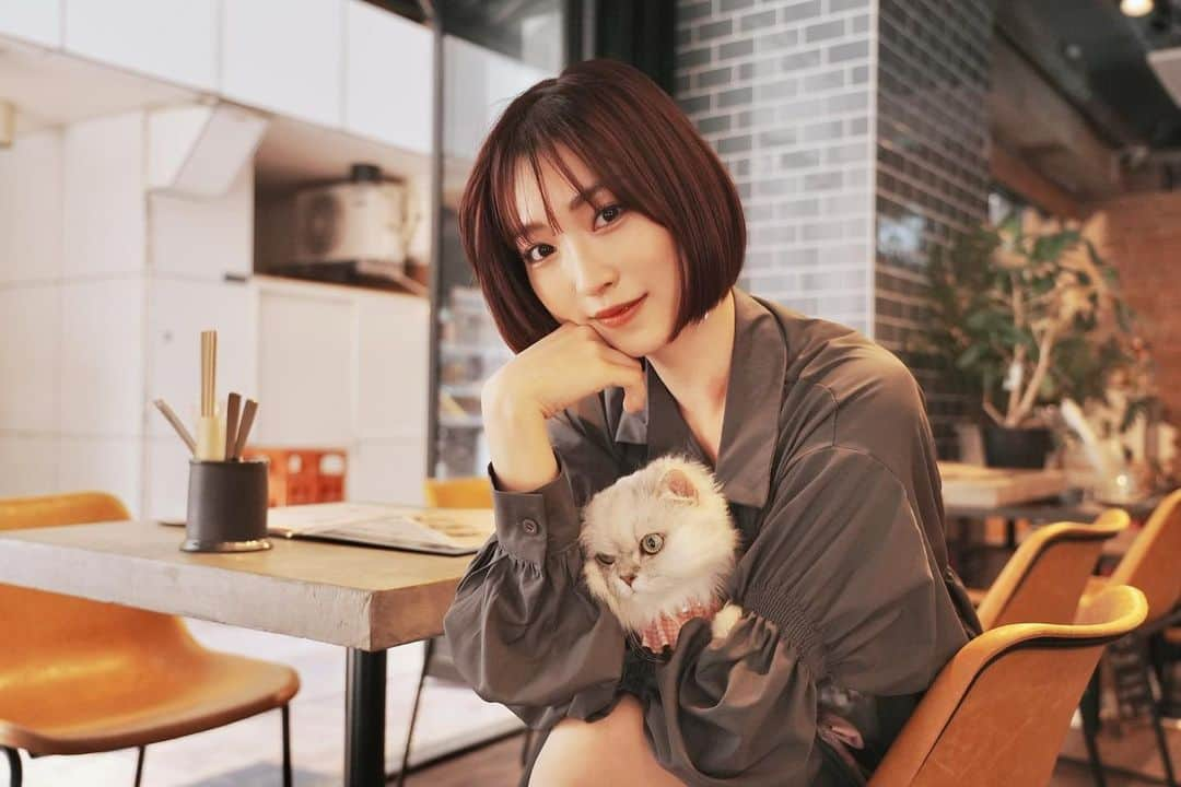 鈴木友梨耶のインスタグラム：「プロフィール画像をかえました！  カフェでシャーちゃんと一緒に撮ってもらったお気に入りの写真🐈❤︎  どうでしょうか！  #cafe #buzzcafebyanella #cat #catsofinstagram #catstagram #ilovemycat #new #ねこ #ねこすたぐらむ #ocochanel #おこシャネル #angrycat」