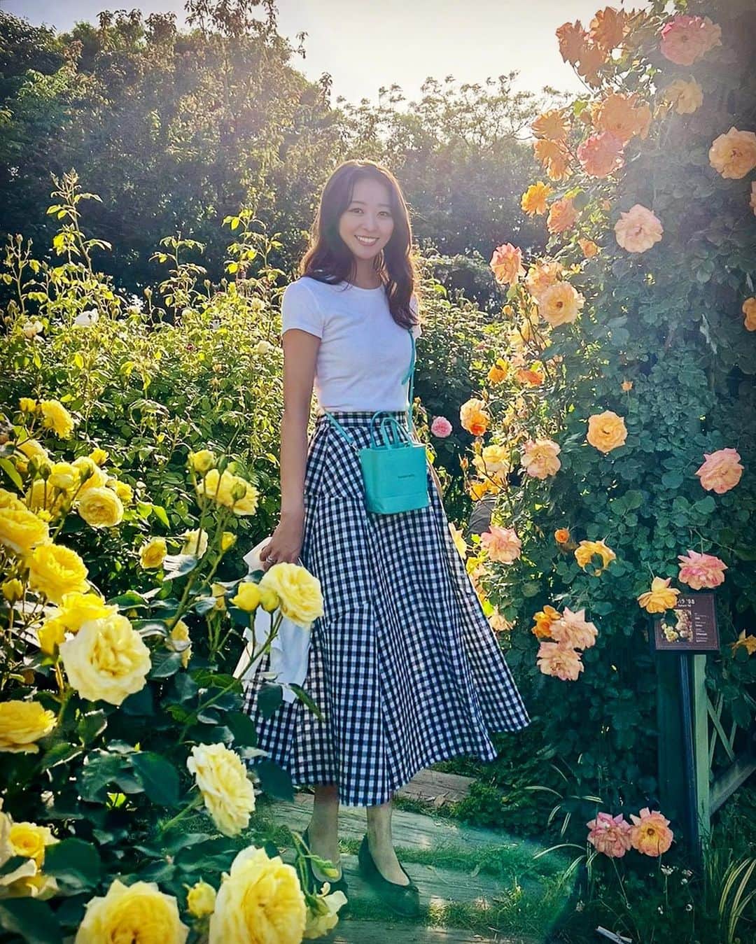 中川知香のインスタグラム：「🌹 今年の春は薔薇をたくさん見れた！  #中川知香」