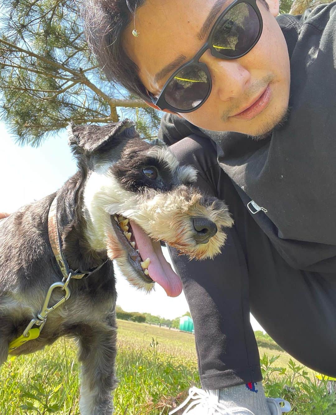 吉永啓之輔さんのインスタグラム写真 - (吉永啓之輔Instagram)「晴れた日は散歩🐶  #ラッド会長」5月10日 18時55分 - keinosuke91
